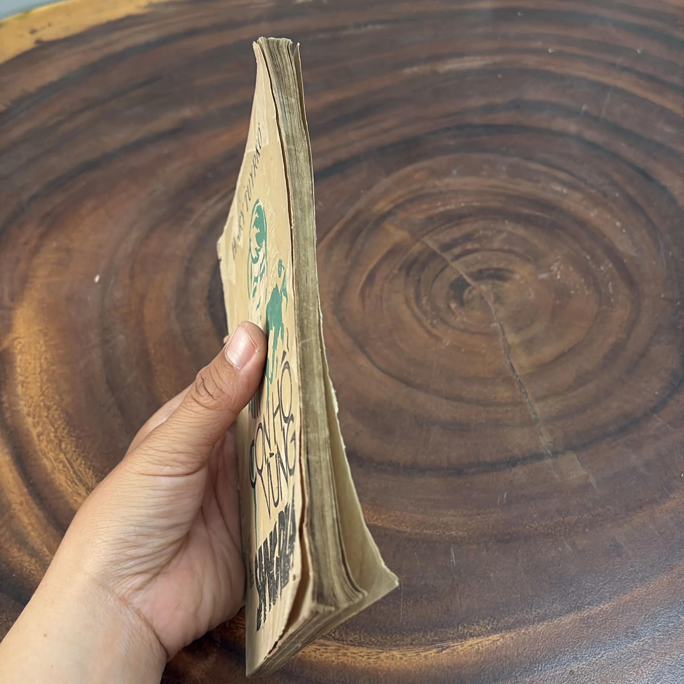 II Văn Học: Con Hổ Vùng Sangrila - HARY TUYRKƠ - 1986 1005269