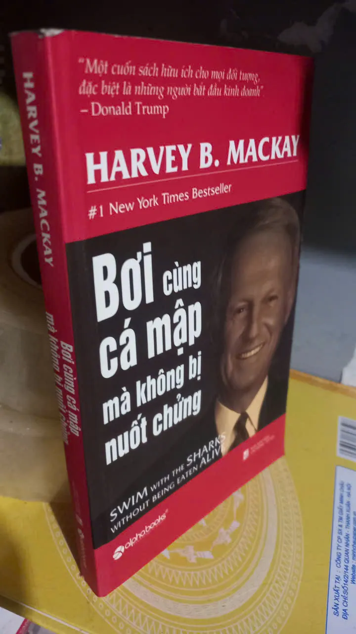 bơi cùng cá mập