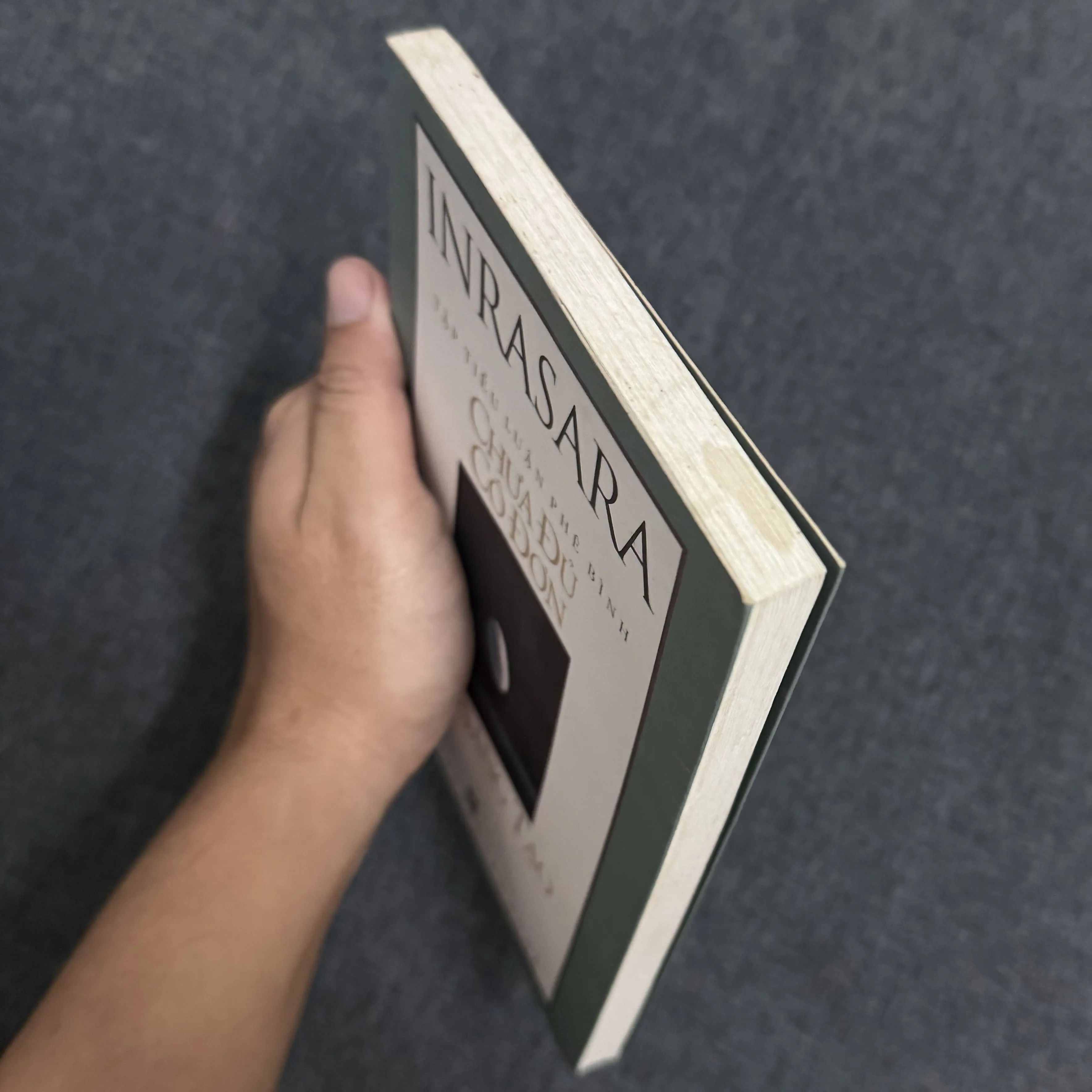 Chưa đủ cô đơn cho sáng tạo - Inrasara 998021