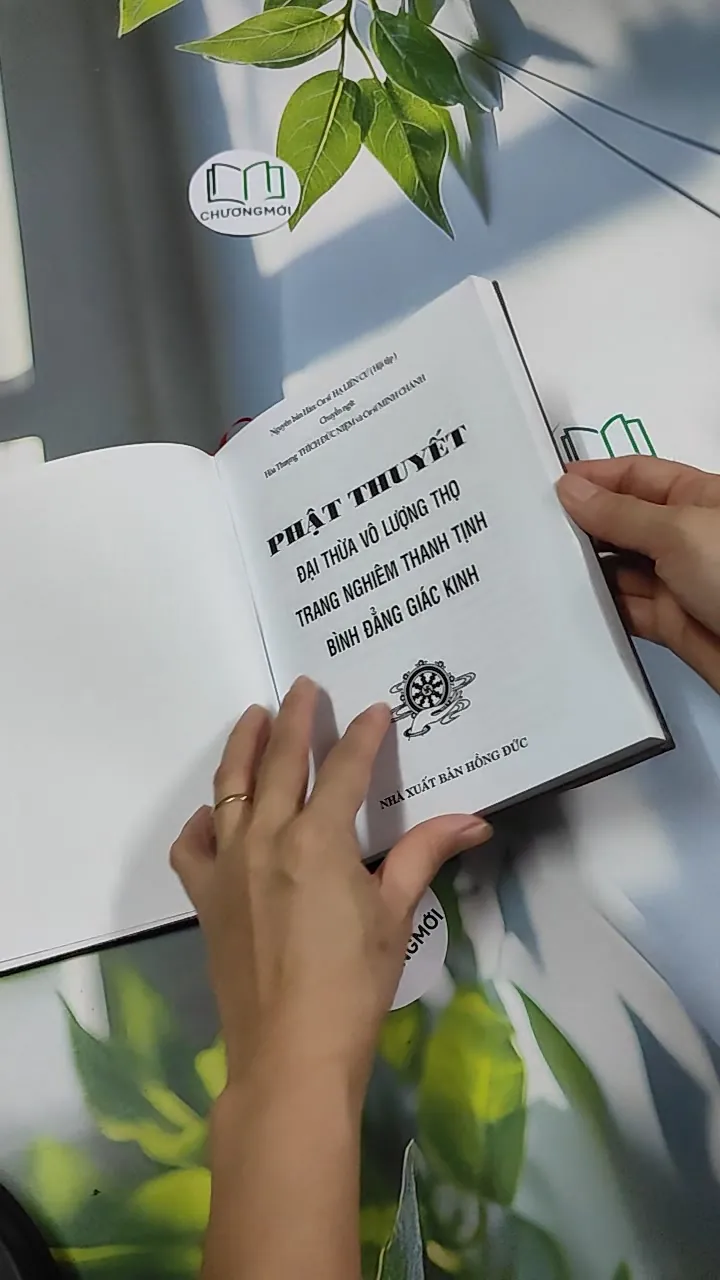 Đại Thừa Vô Lượng Thọ Trang Nghiêm Thanh Tịnh Bình Đẳng Giác Kinh - HT. Thích Đức Niệm 750812