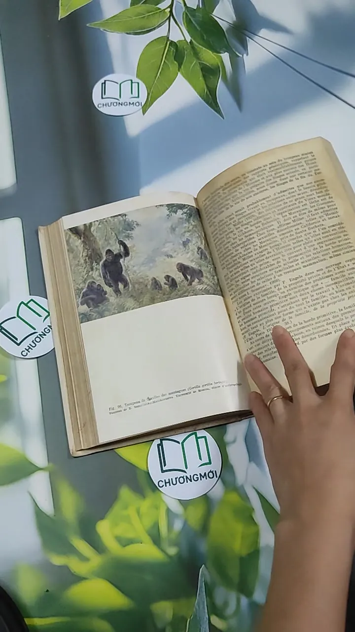 [MIỄN PHÍ BỌC SÁCH] L'Origine de l'Homme - Mikhail Nesturkh 750827