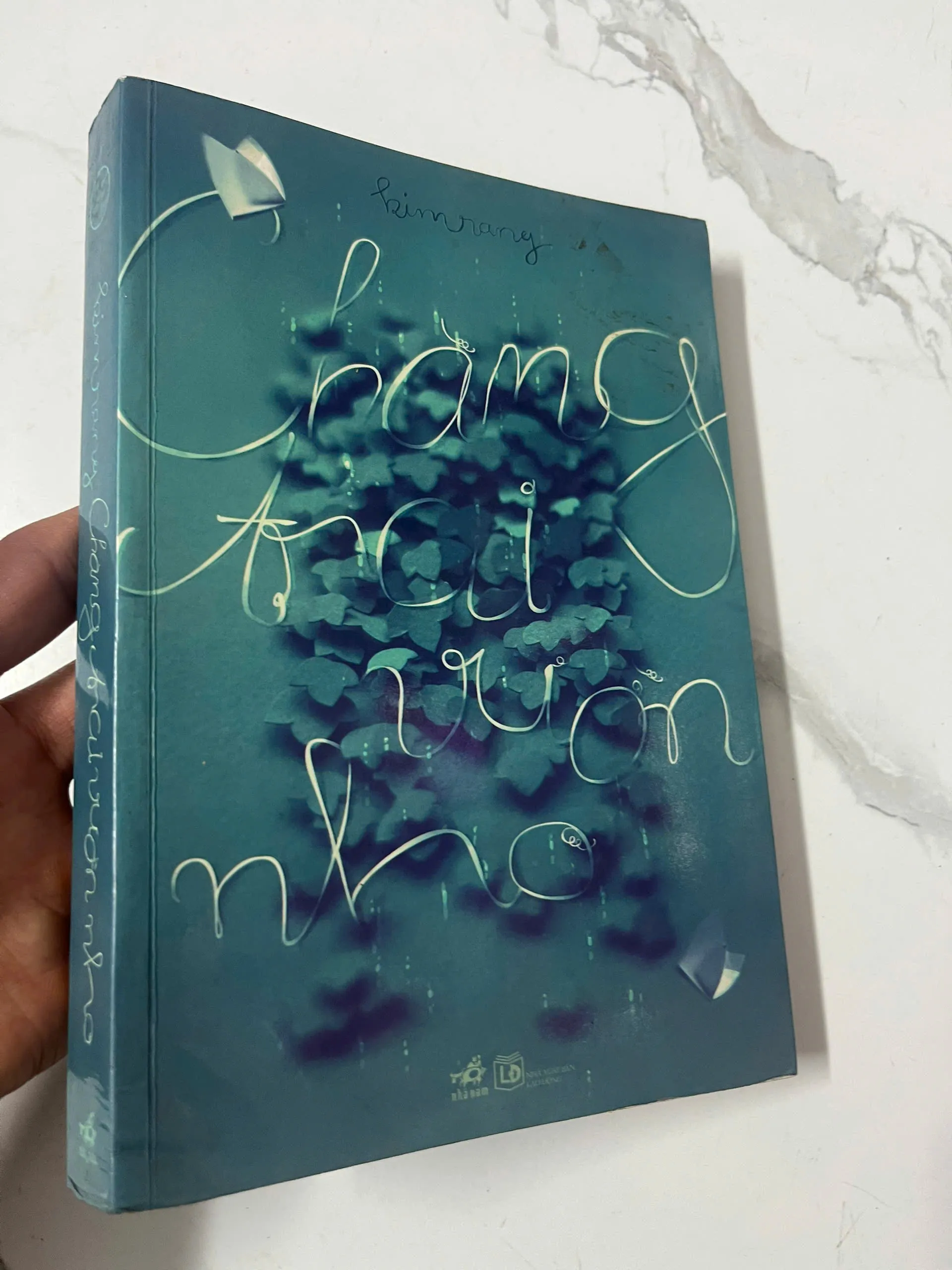 Chàng trai ở vườn nho – Kim Rang