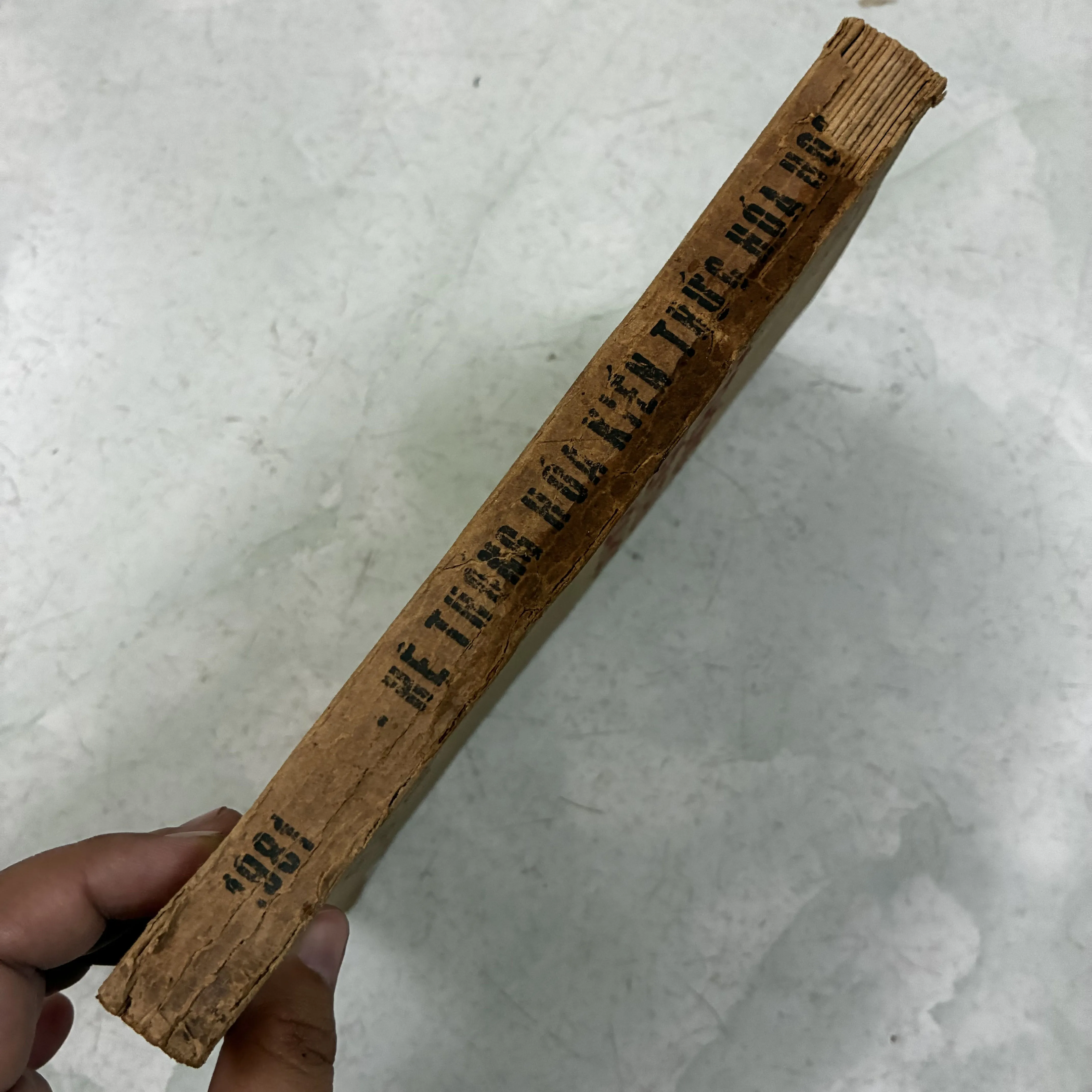 Hệ thống hoá kiến thức Hoá học - 1981s 1005526