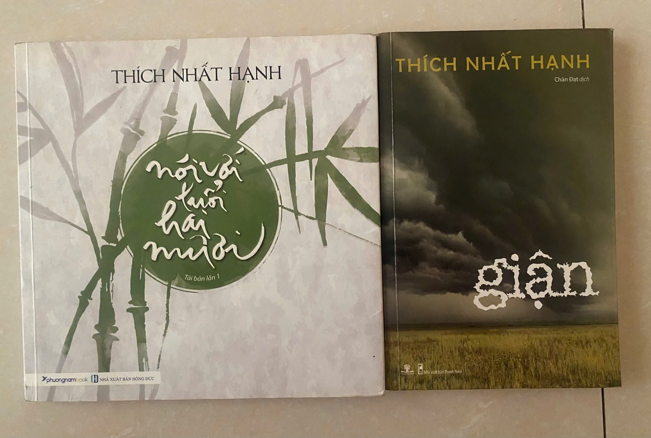 Nói với tuổi hai mươi và Giận của thầy THÍCH NHẬT HẠNH