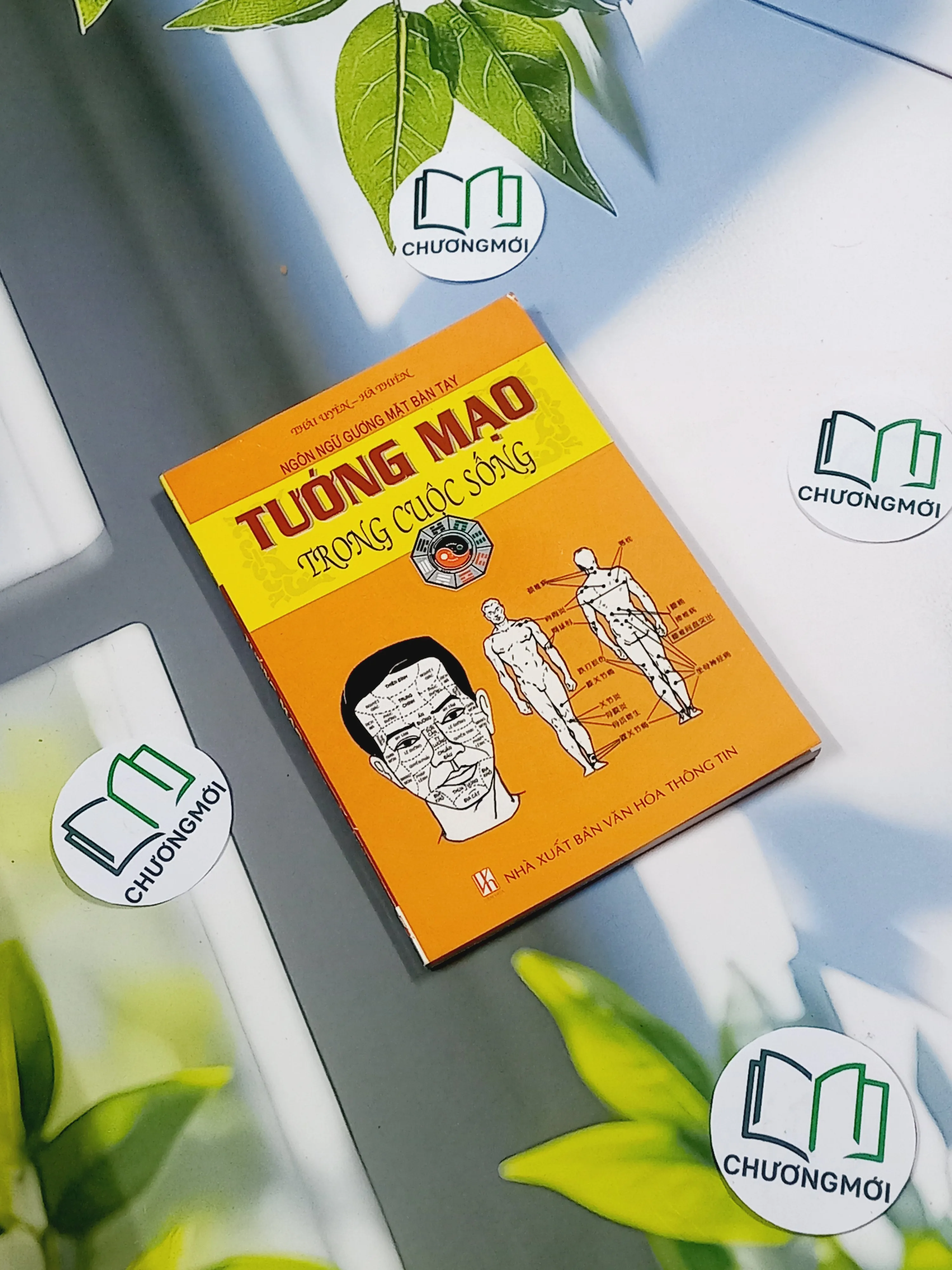 Tướng Mạo Trong Cuộc Sống - Thái Uyên & Hà Thiên