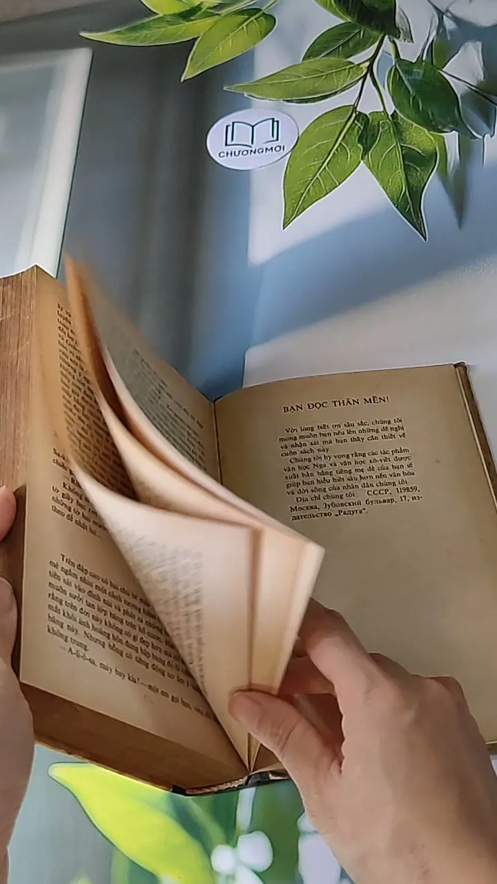 Người Thay Thế Chưa Tới (1986) - Nikolai Kambulev 607724