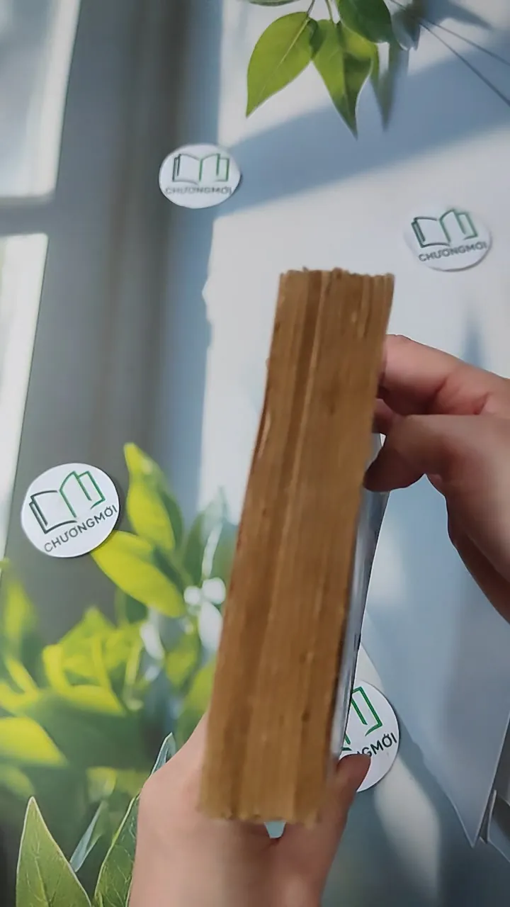 [XƯA] Bóng Hạnh Phúc (1989) - Thanh Thủy 997645