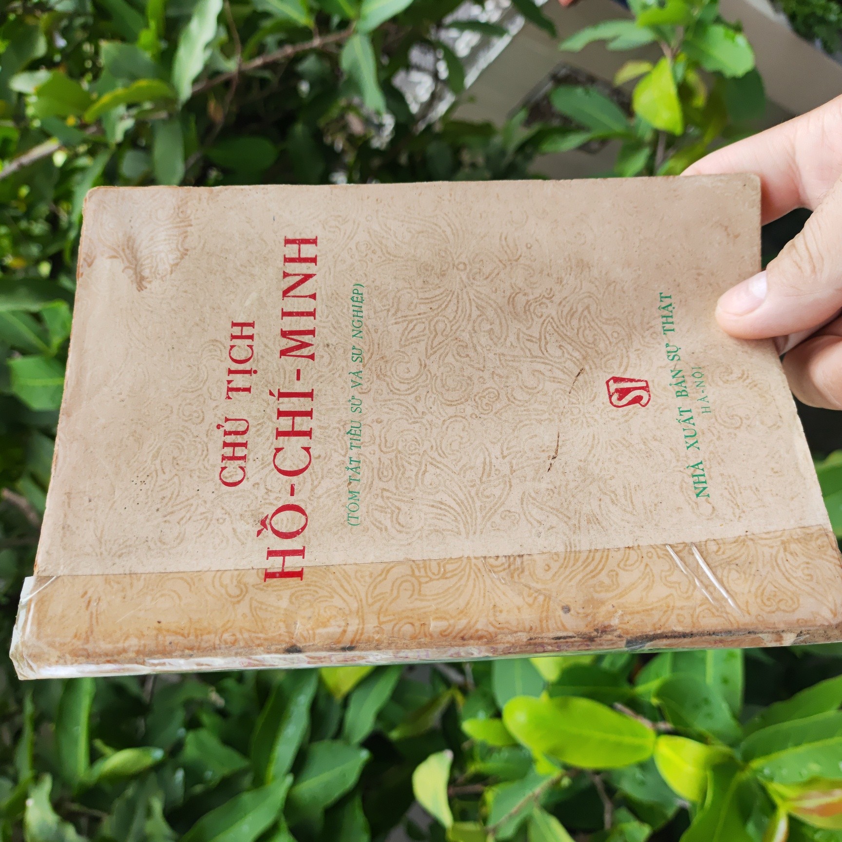 Chủ Tịch Hồ Chí Minh ( Tóm Tắt Tiểu Sử Và Sự Nghiệp)