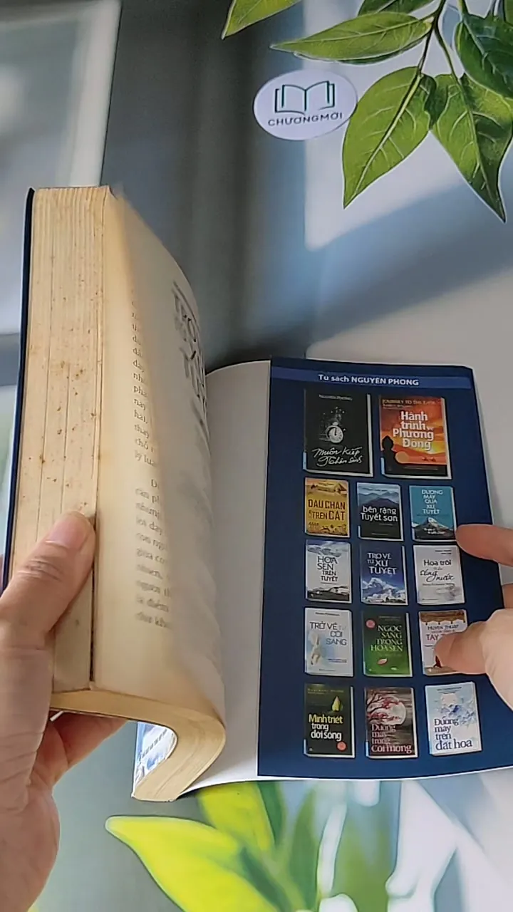 Trở Về Từ Xứ Tuyết - Nguyên Phong 607722