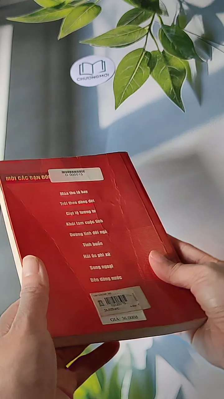 Tình vẫn đẹp sao - Quỳnh Dao 607697