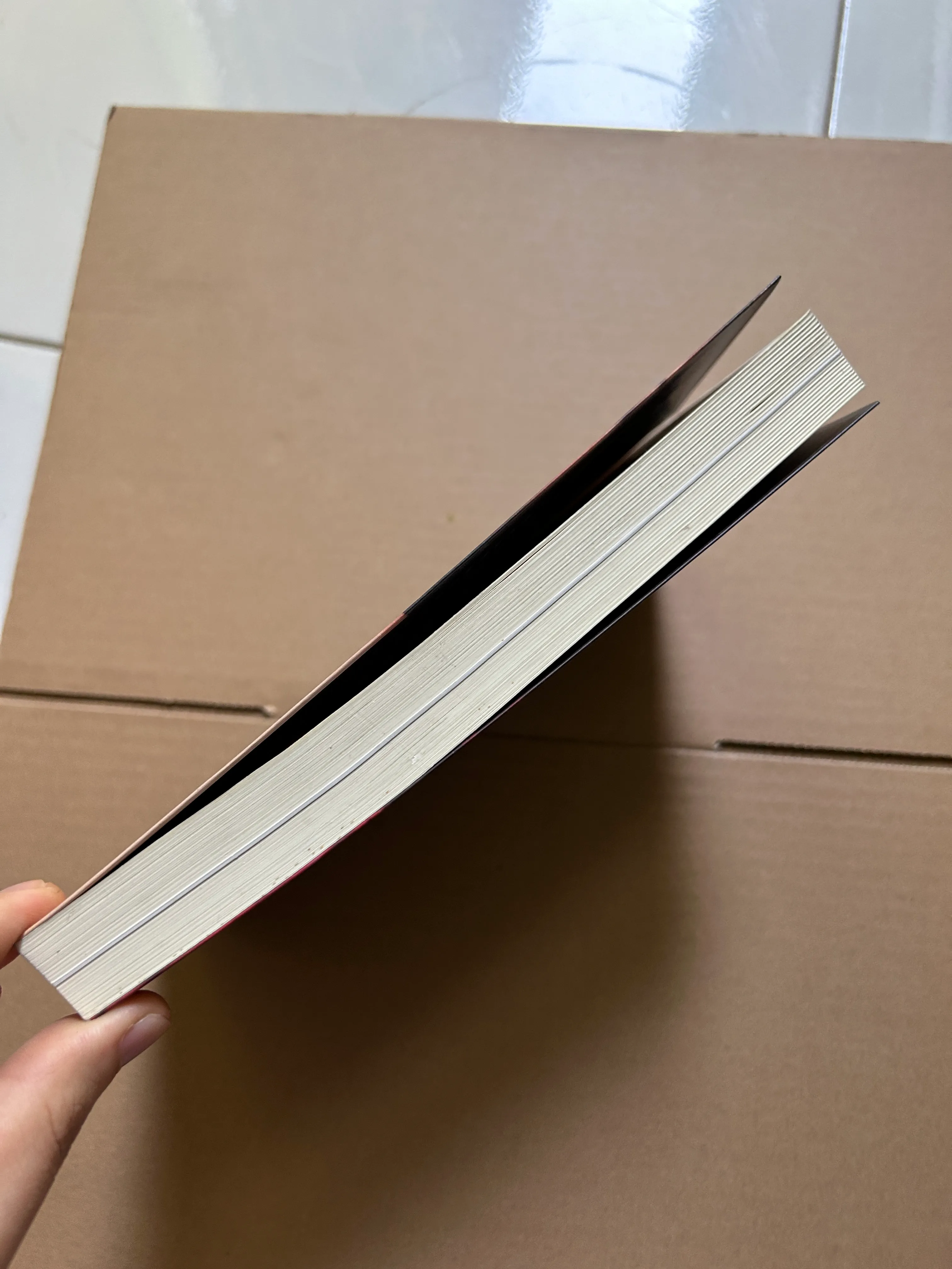 Ciline Dion câu chuyện đời tôi, giấc mơ trong tôi 734298