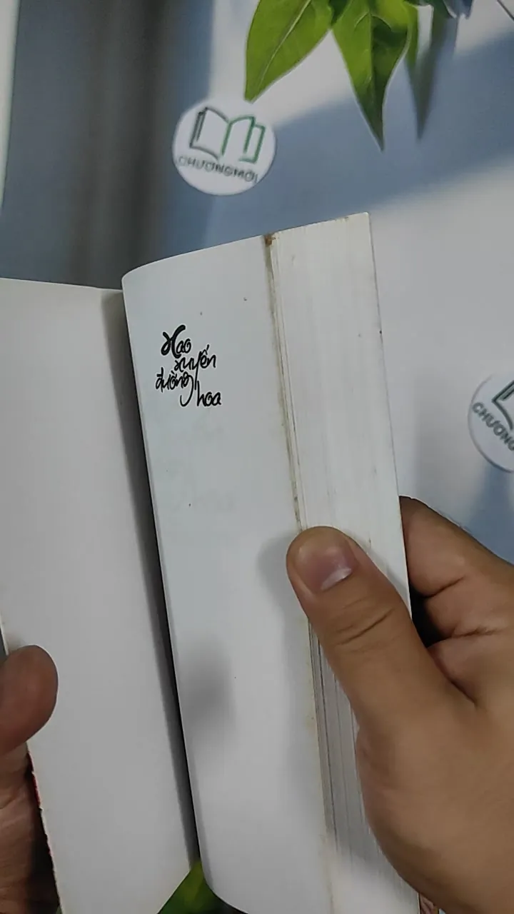 Xao Xuyến Đường Hoa - Lê Phúc Cường 798492