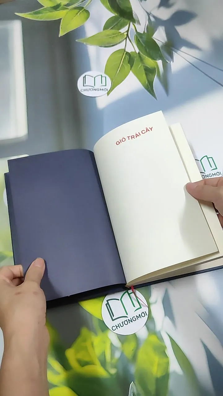 Giỏ Trái Cây - Liêu Hà Trinh 750811