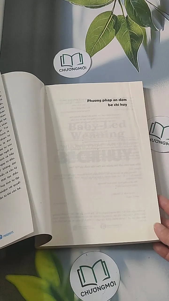 Phương pháp ăn dặm bé chỉ huy 688485