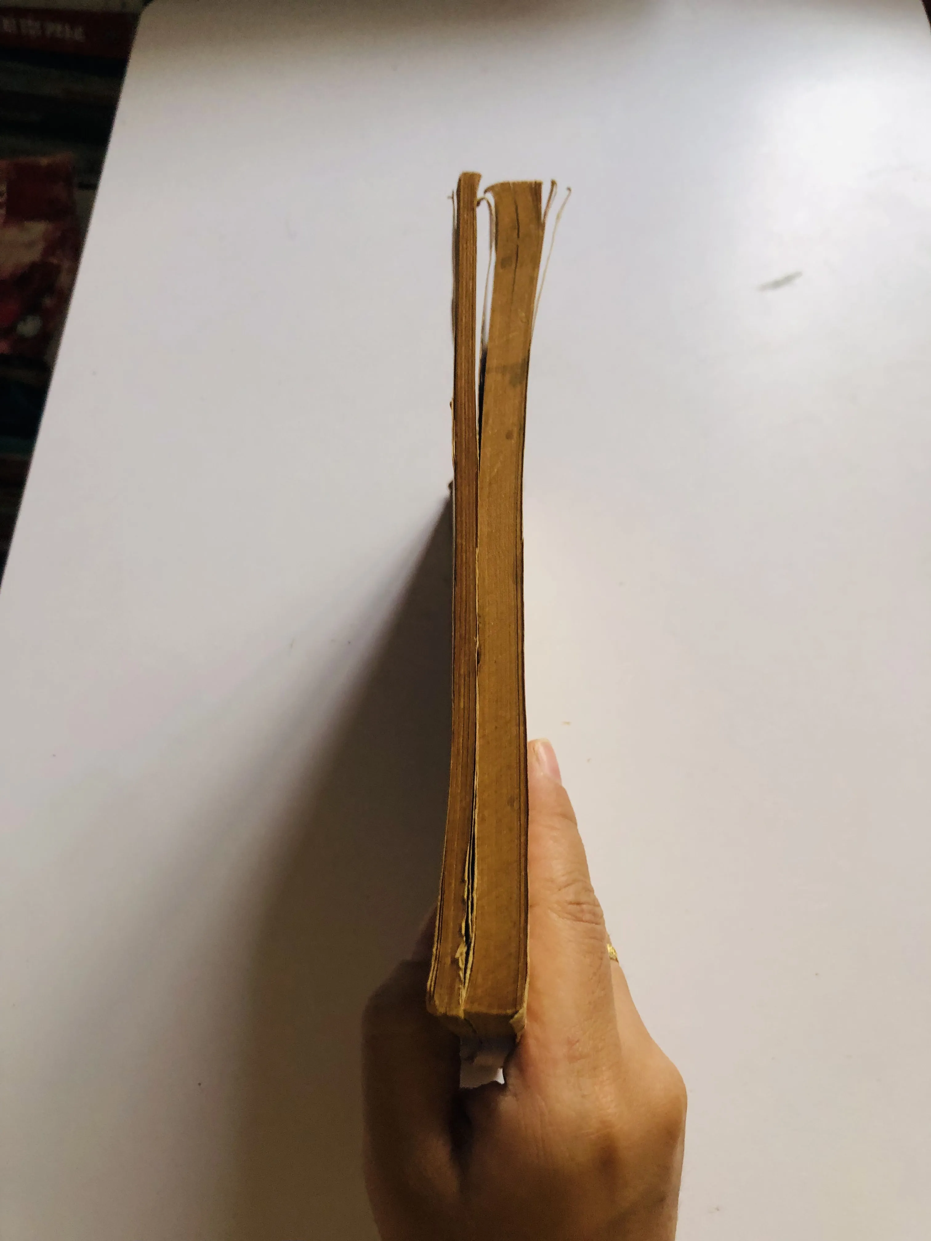 2 CUỐN TẠP CHÍ CÔNG GIÁO XƯA 1964 & 1973 752813