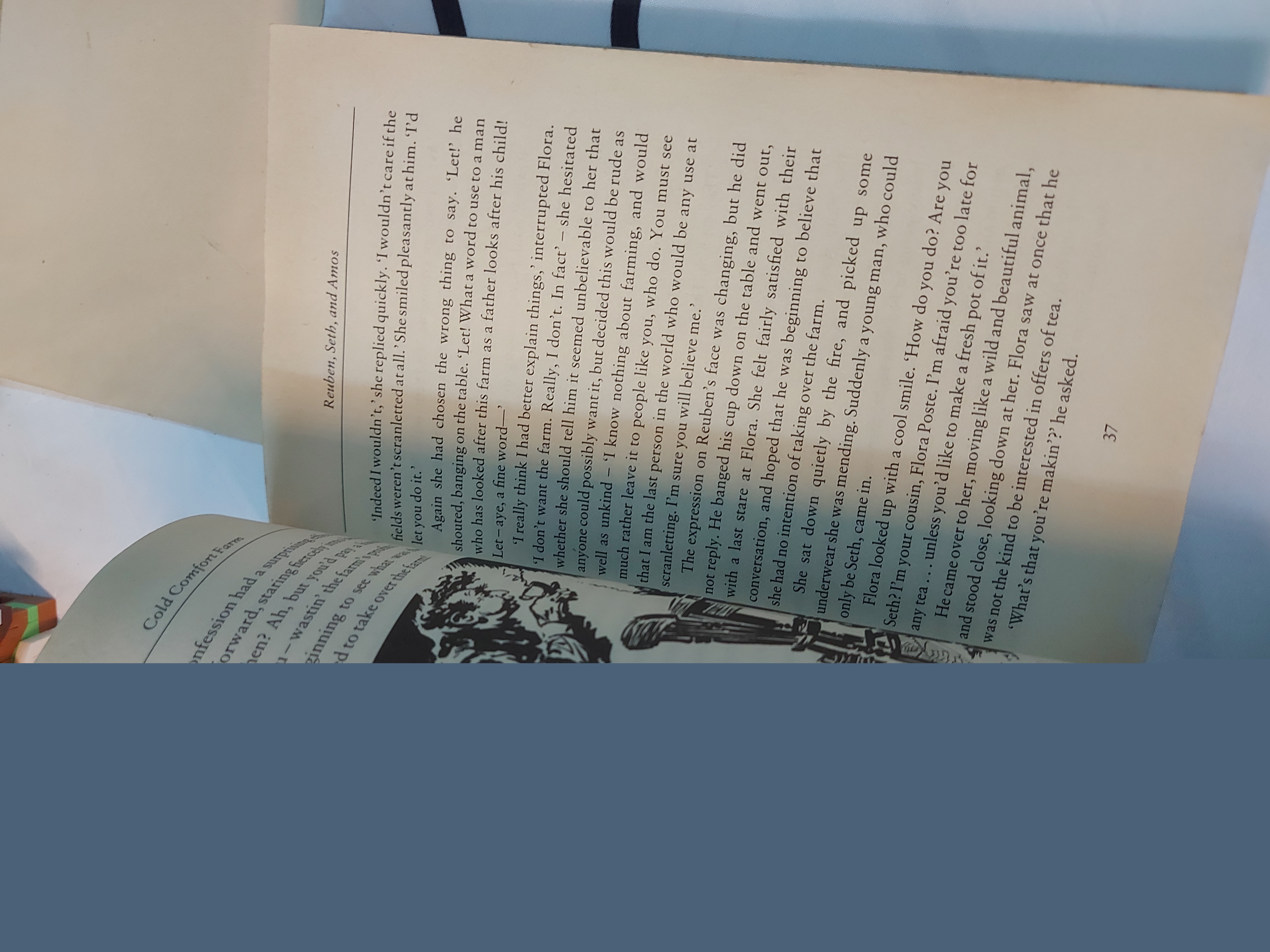 [Ngoại văn] - COLD COMFORT FARM 478616
