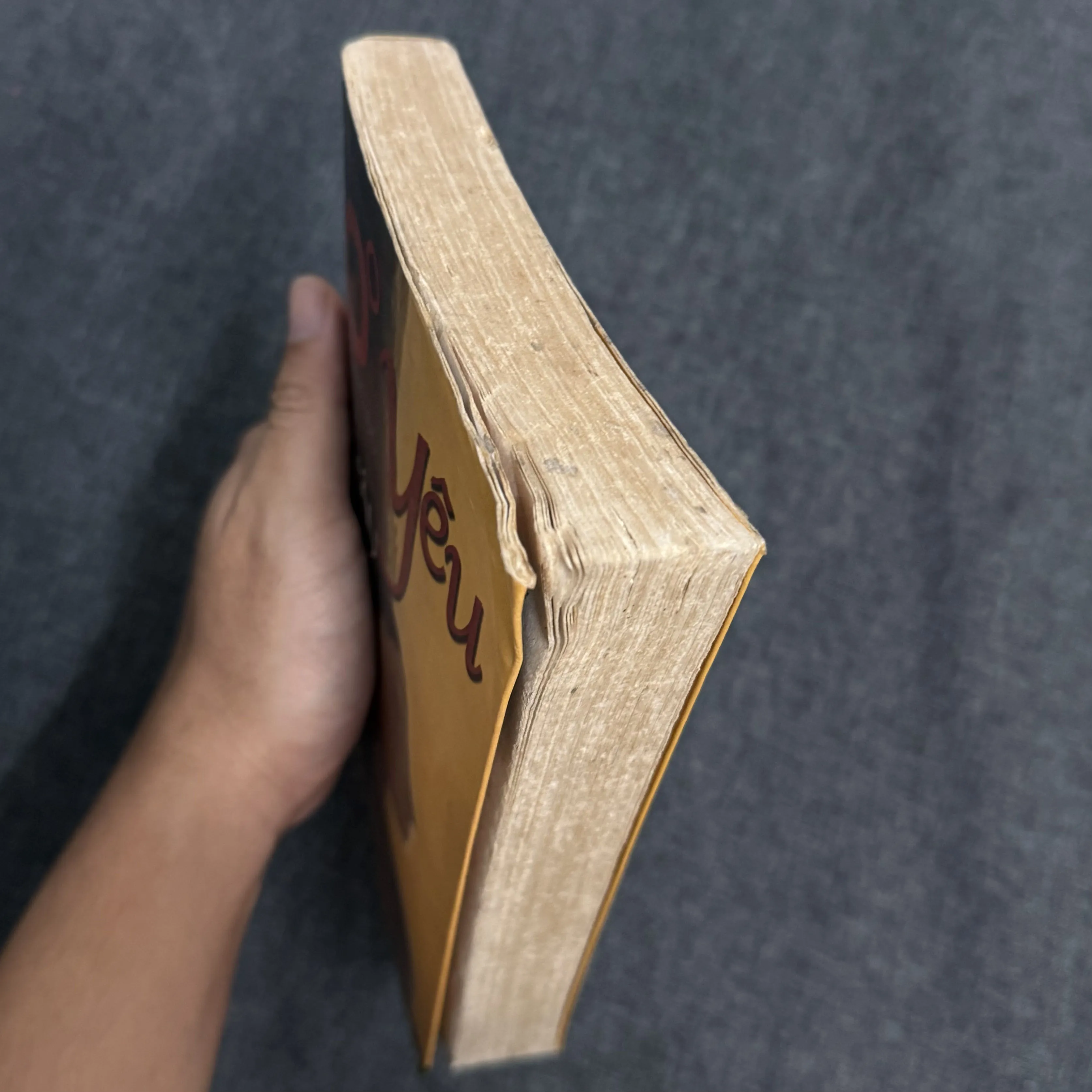 Không độ yêu - Khâu Hoa Đông 1002909