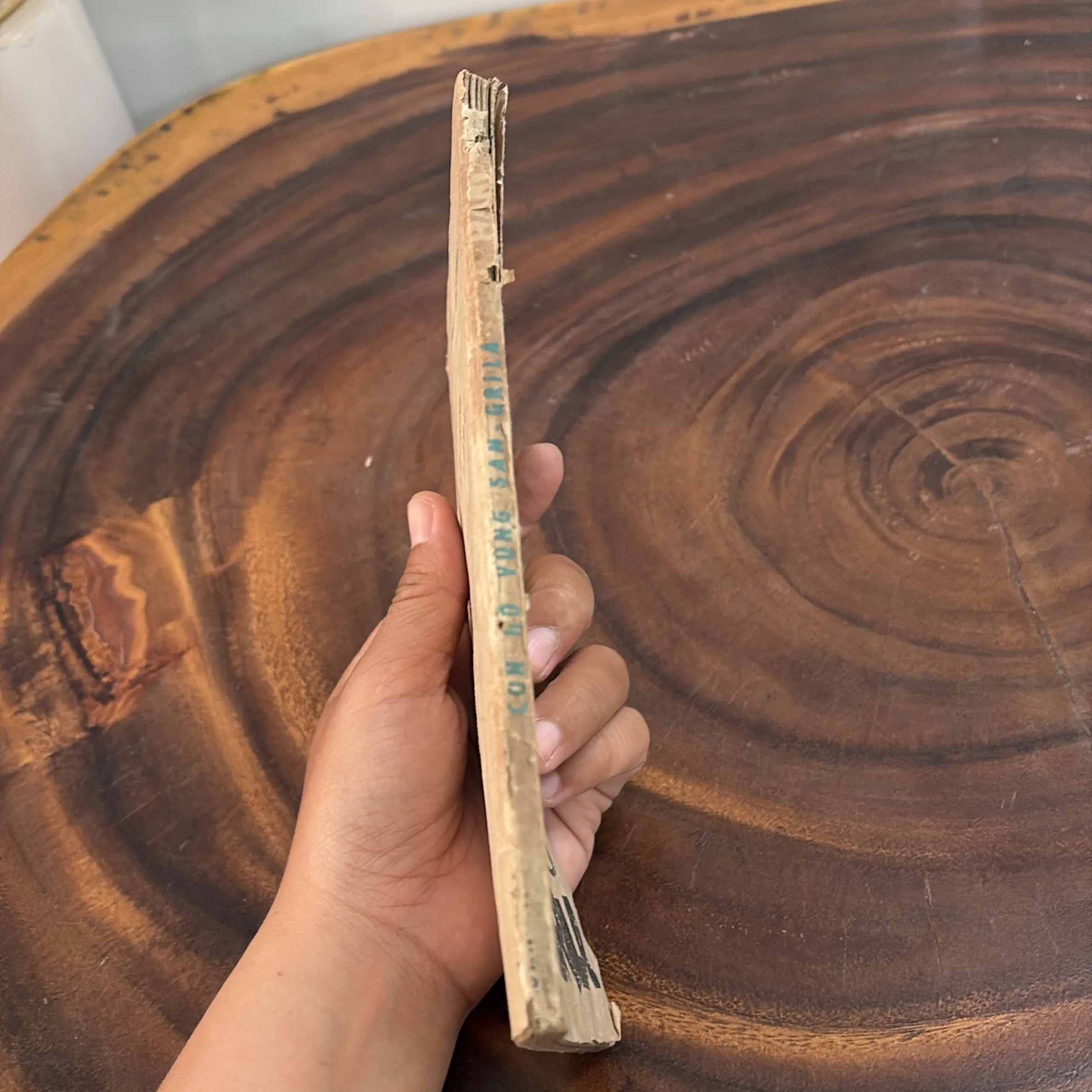 II Văn Học: Con Hổ Vùng Sangrila - HARY TUYRKƠ - 1986 1005269