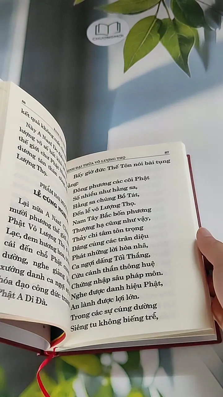Phật thuyết Đại thừa Vô lượng Thọ Trang Nghiêm Thanh Tịnh Bình Đẳng Giác Kinh - Ngài Hạ L 607734