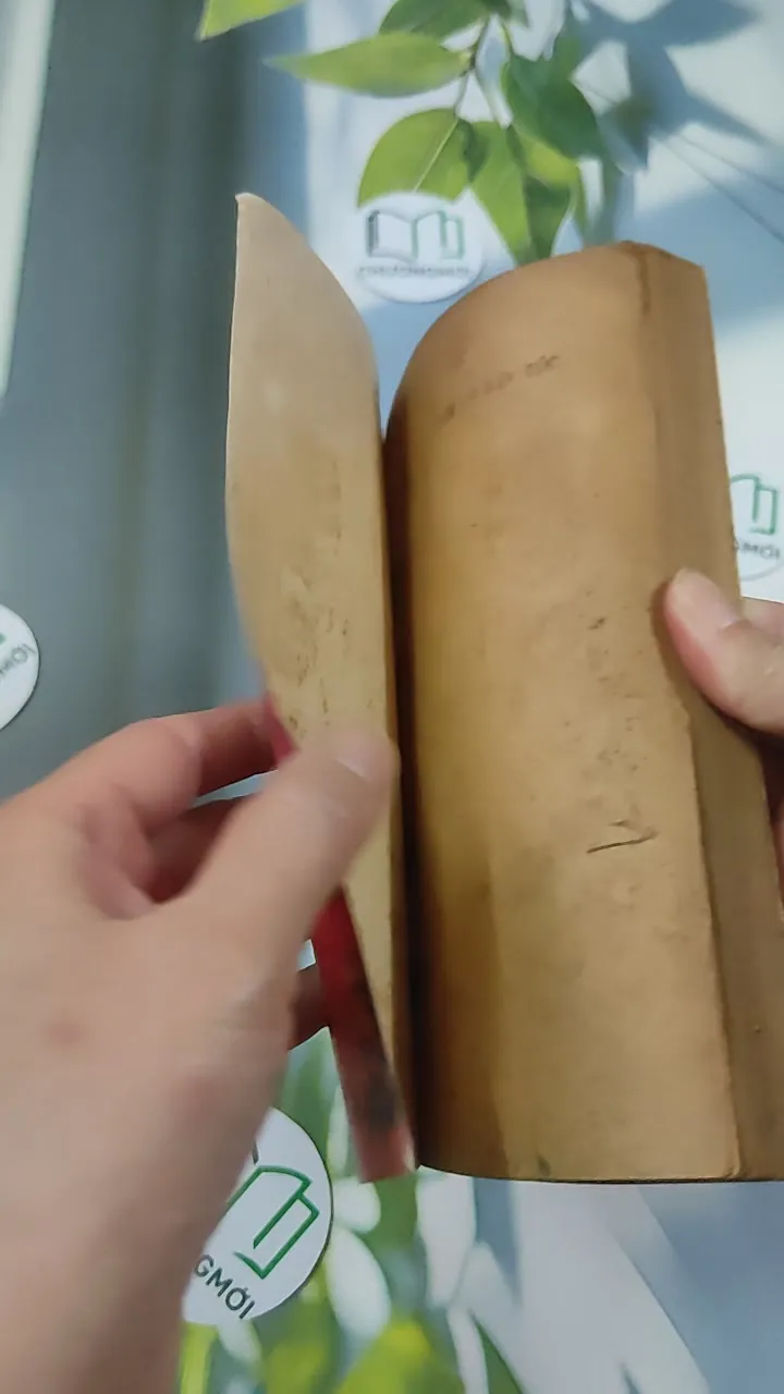 [MIỄN PHÍ BỌC SÁCH] [XƯA] Tìm Về Dân Tộc (1990) - Lý Chánh Trung 776027