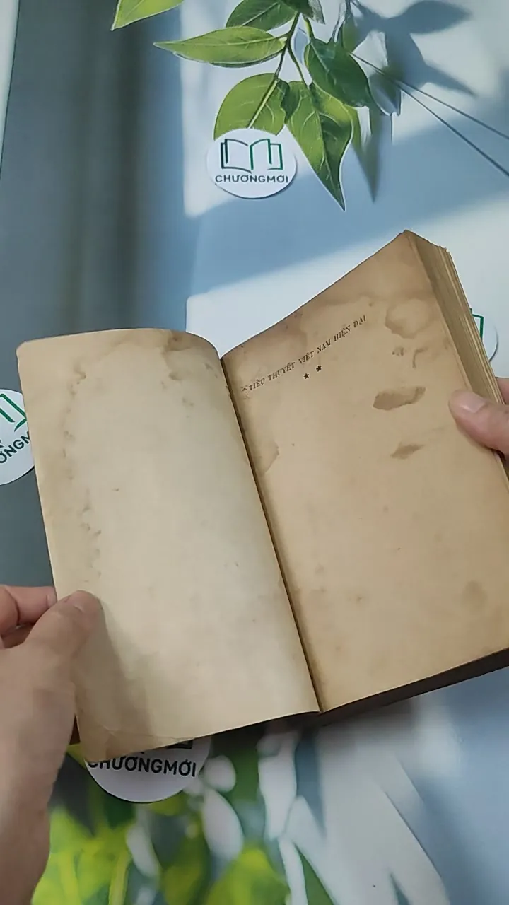 [MIỄN PHÍ BỌC SÁCH] [XƯA] Tiểu Thuyết Việt Nam Hiện Đại 2 (1978) - Phan Cự Đệ 776017