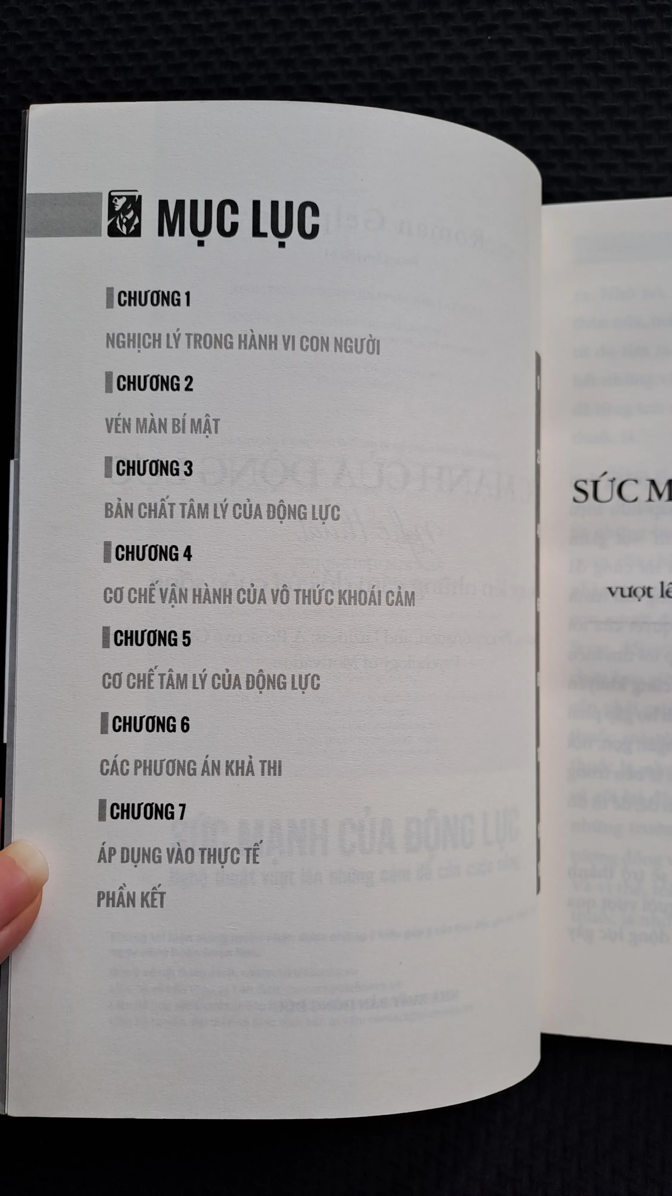 Sức mạnh của động lực - Roman Gelperin 973192