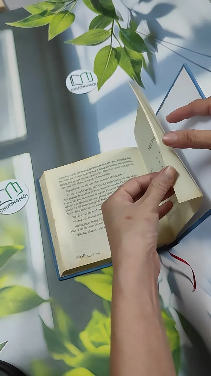 Người Lớn Cô Đơn - Phan Ý Yên 750832