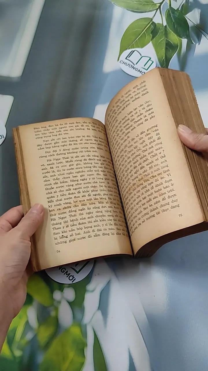 [XƯA] Quãng Đời Xưa In Bóng (1990) - Dũng Hà 776083