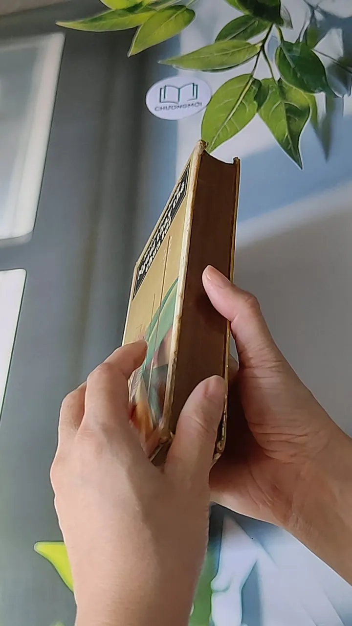 Người Thay Thế Chưa Tới (1986) - Nikolai Kambulev 607724