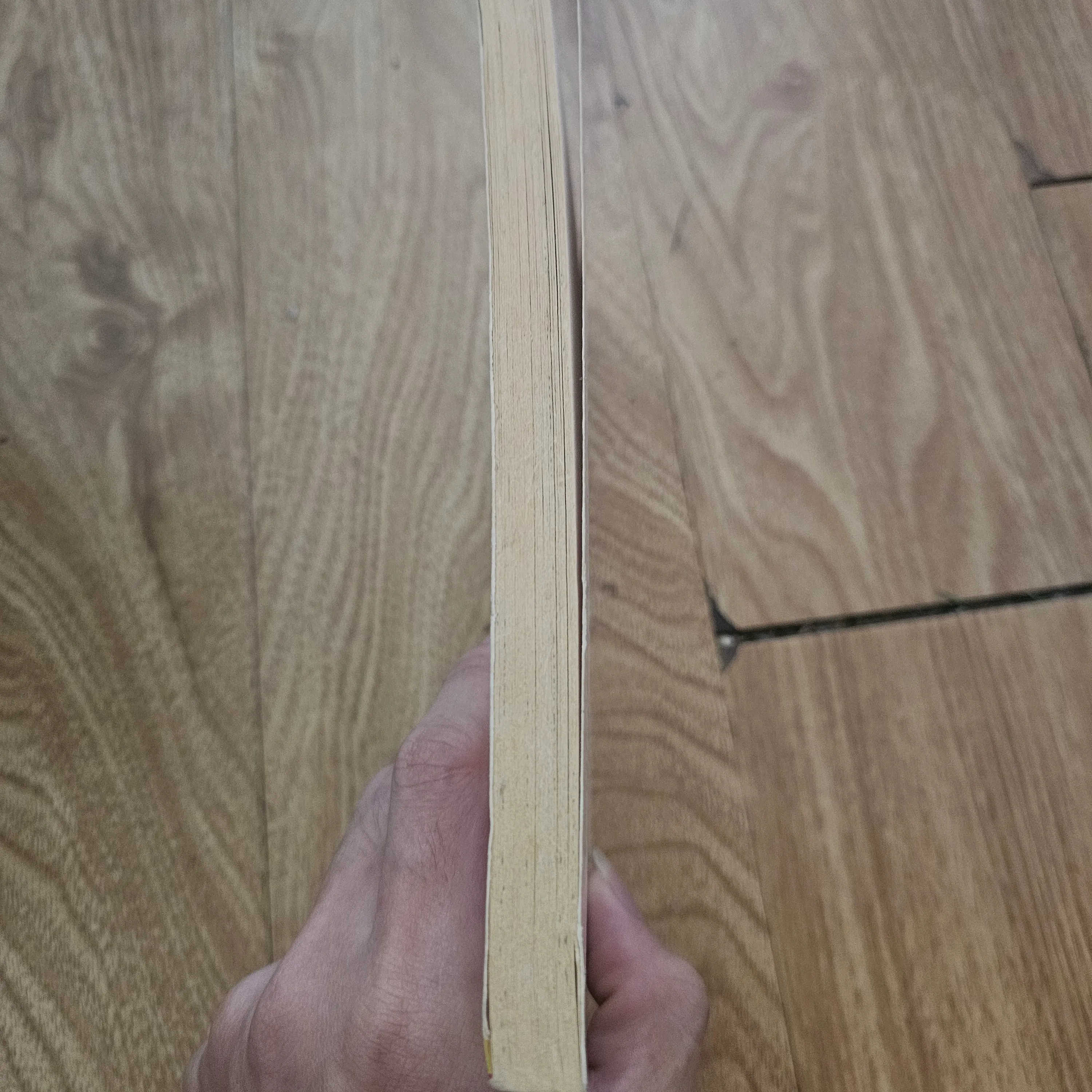 Good Idea, Amelia Jane
20k 673800