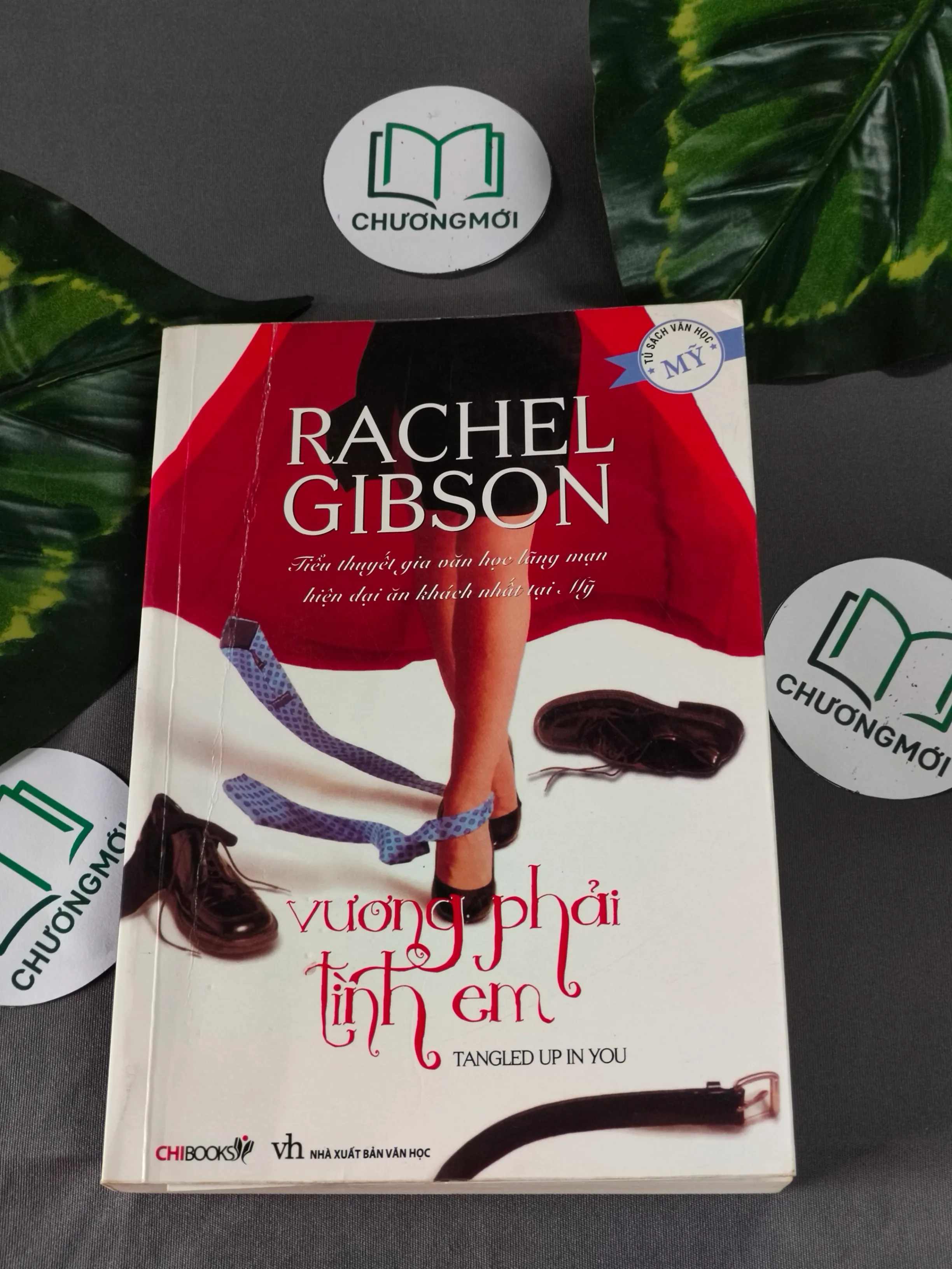 Vương Phải Tình Em - Rachel Gibson