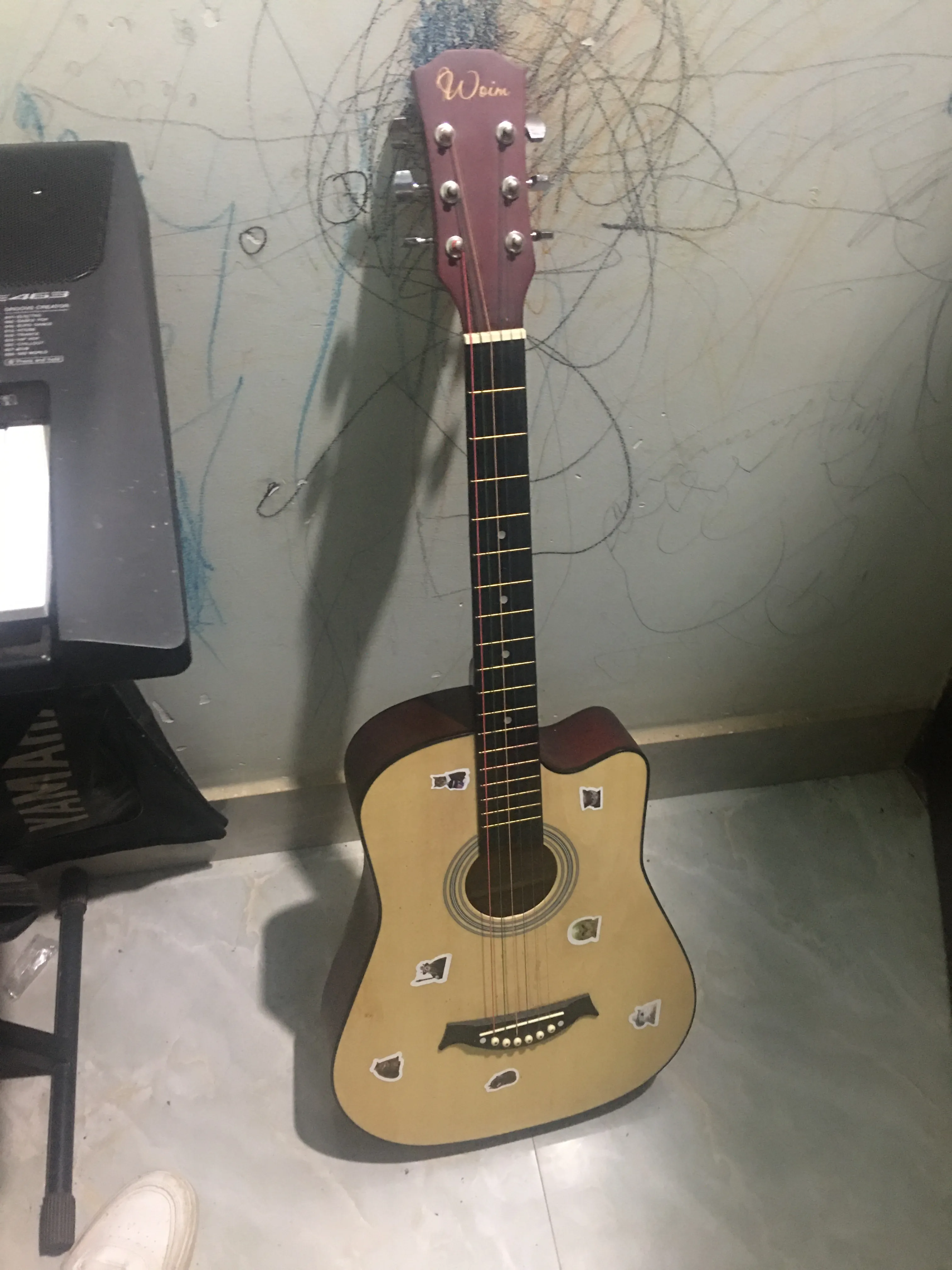 Đàn gutar chính hãng 