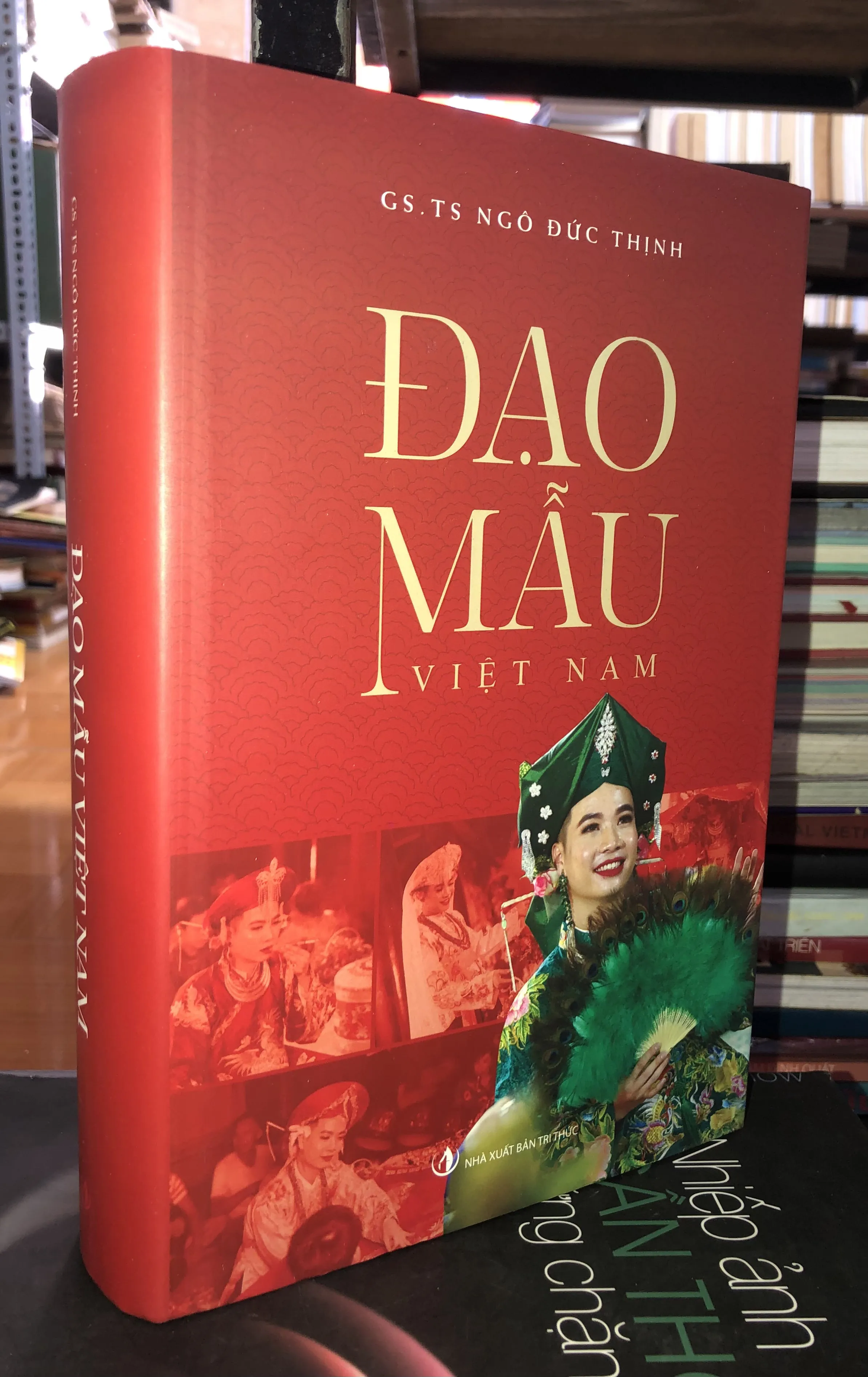 Đạo Mẫu Việt Nam 