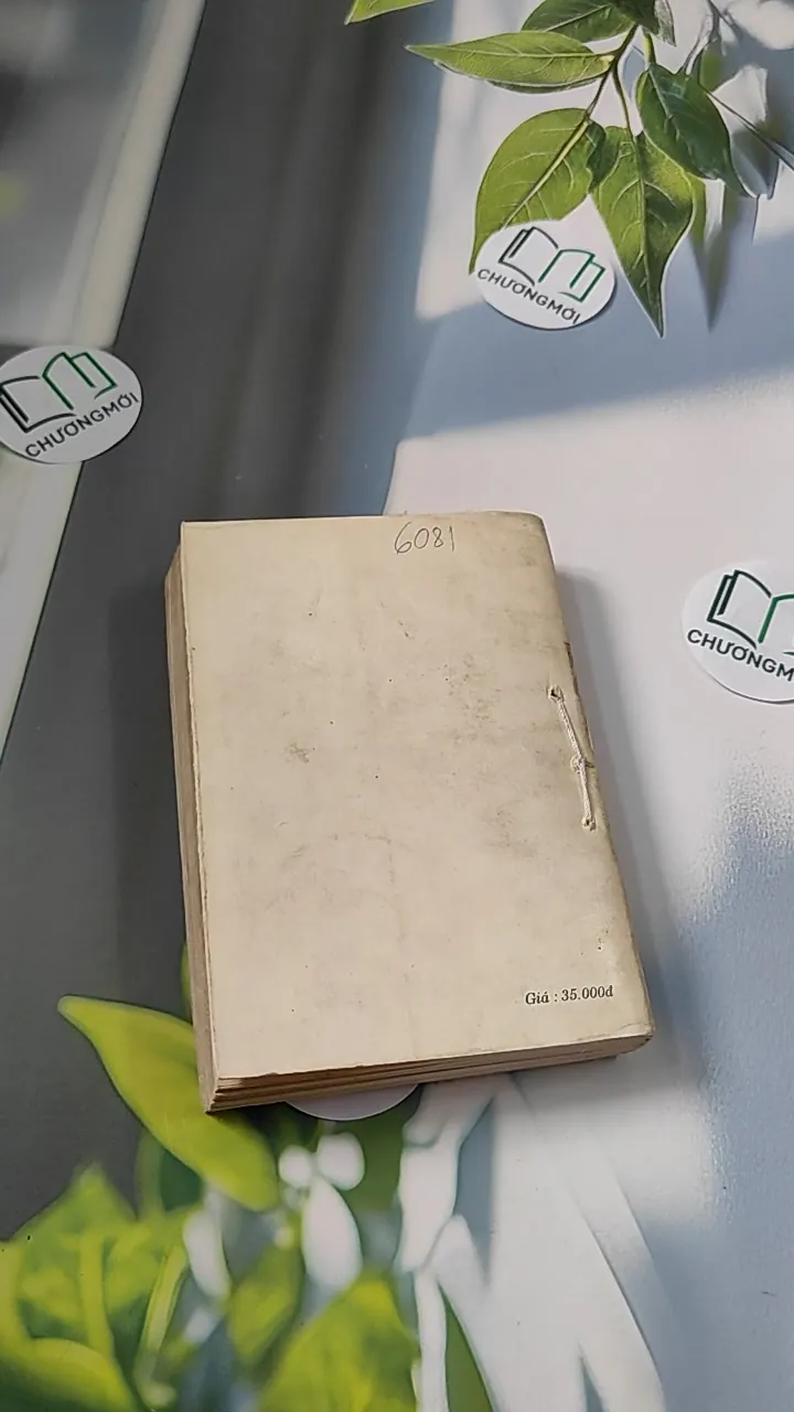 [XƯA] Đỉnh Đồi (1994) - Irwin Shaw 776066