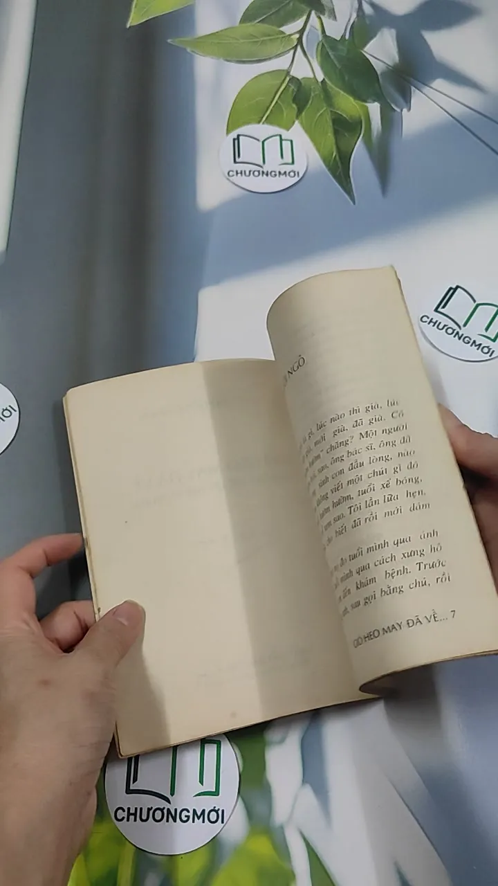 Gió Heo May Đã Về - BS Đỗ Hồng Ngọc 776045