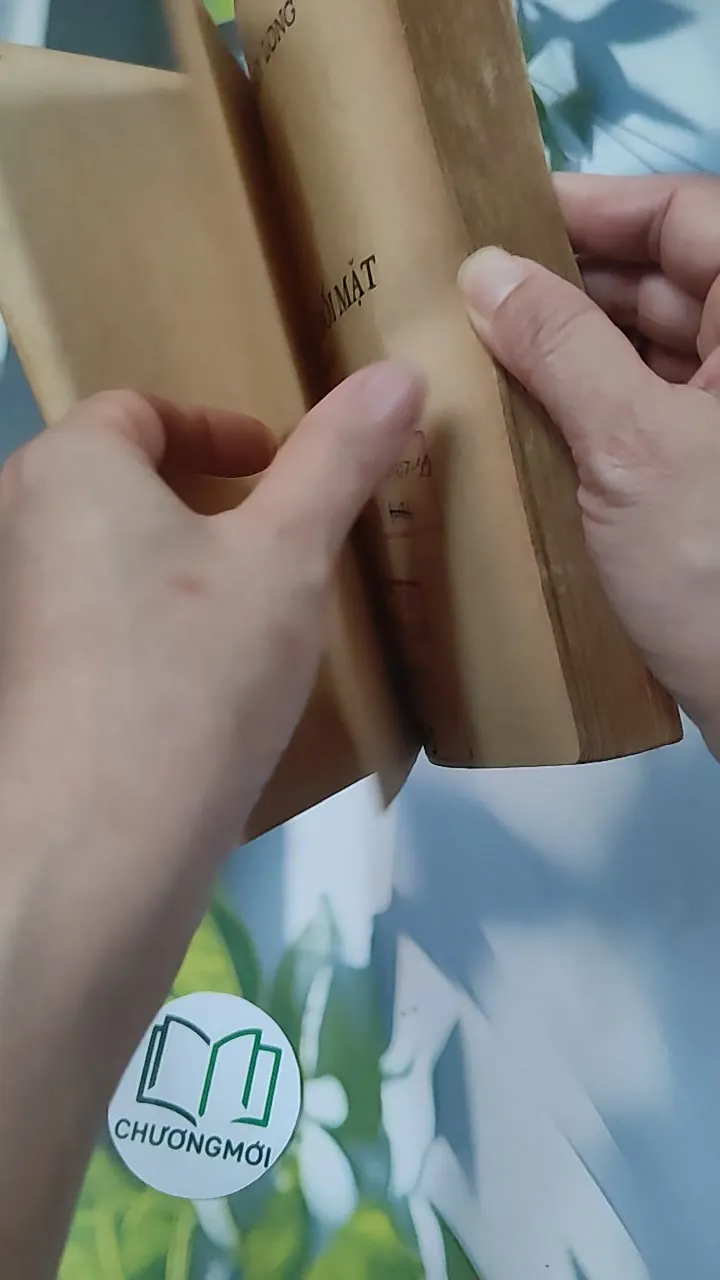 [XƯA] Tình Thù Đối Mặt (1990) - Nguyễn Thụy Long 776020