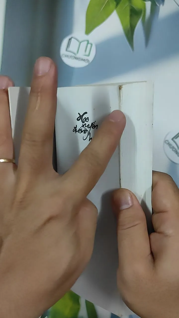 Xao Xuyến Đường Hoa - Lê Phúc Cường 798492