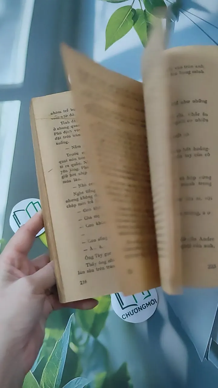 [XƯA] [HIẾM] Đời Ca Sĩ (1989) - Vũ Gia 997657