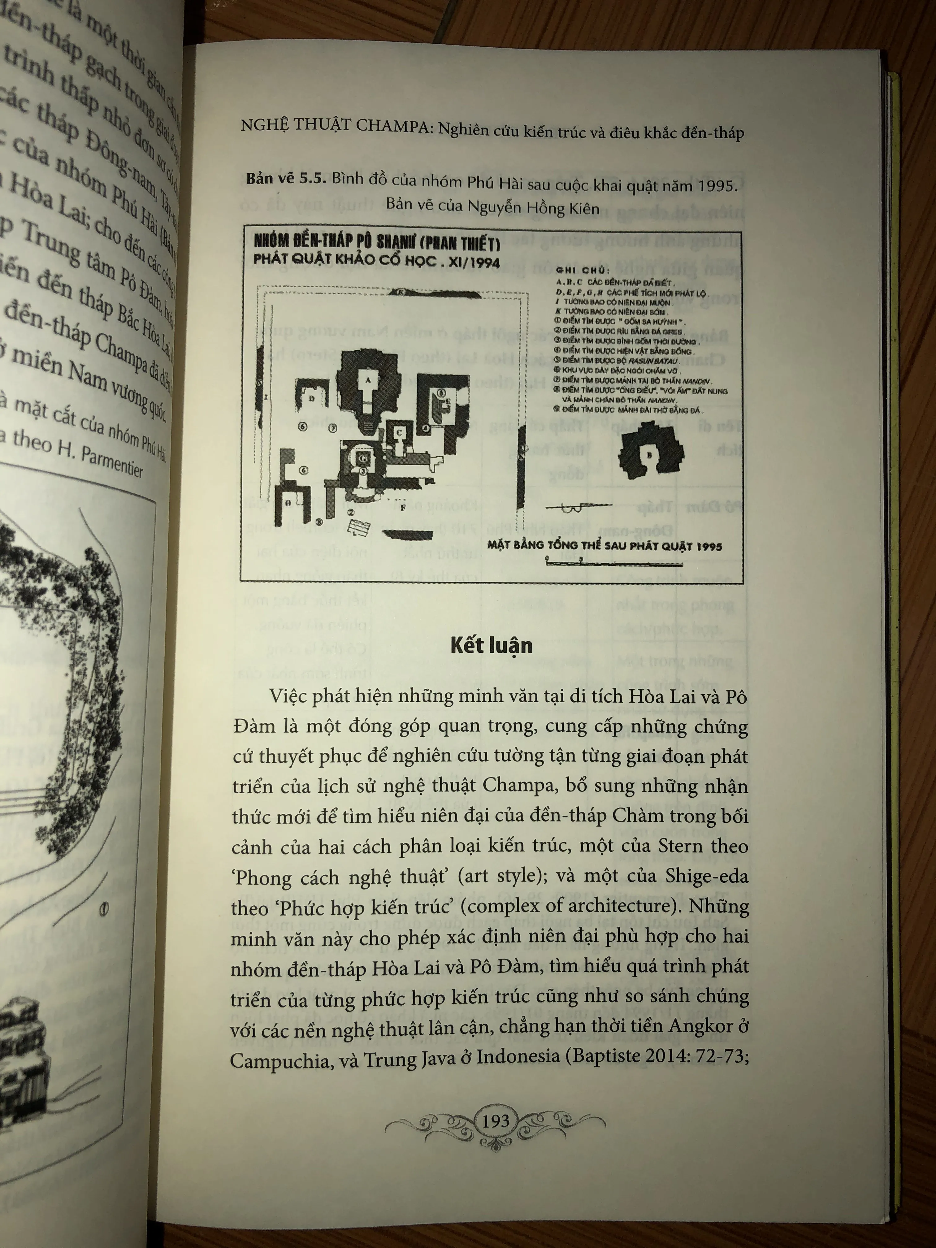 Nghệ thuật Chăm Pa - Nghiên cứu kiến trúc và điêu khắc đền-tháp 642594