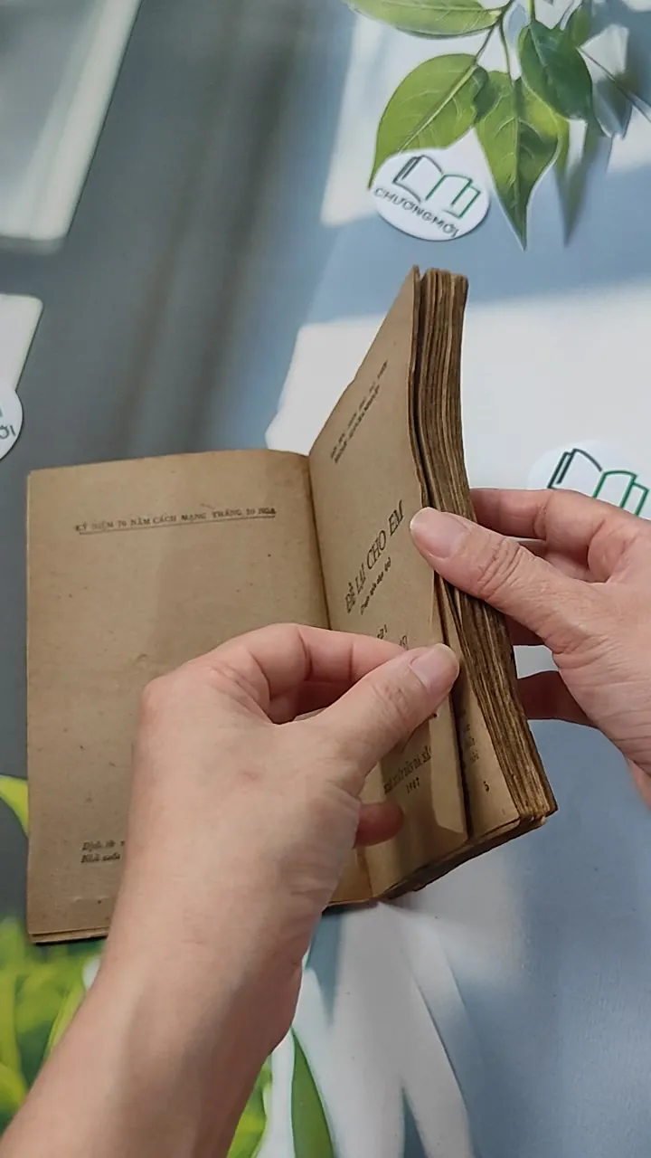 [XƯA] Để Lại Cho Em 1 (1987) - Vũ Hạnh 776081