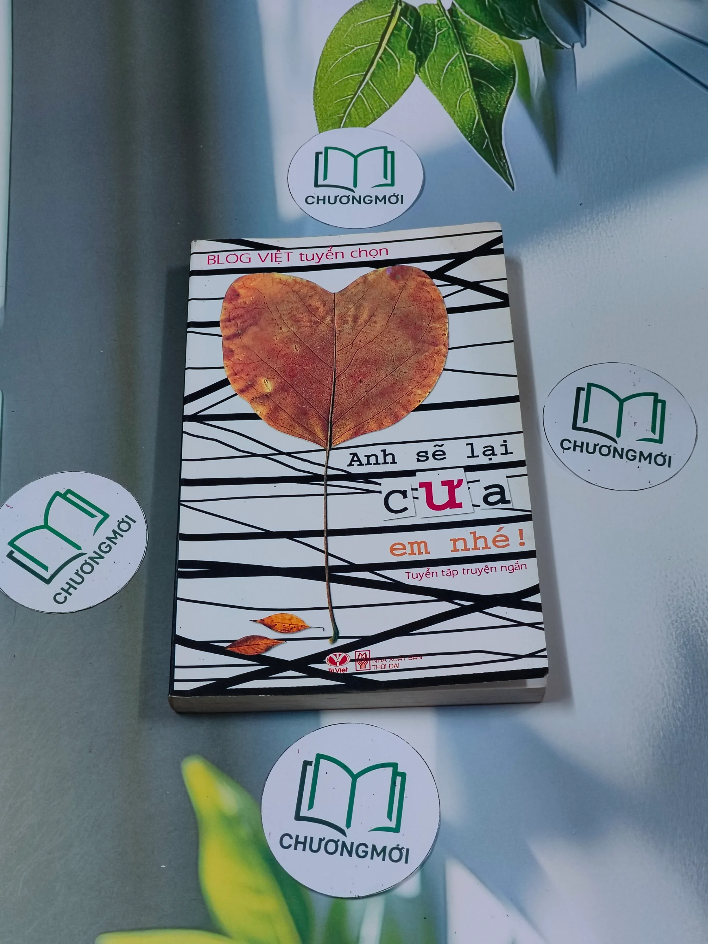 Anh sẽ lại cưa em nhé