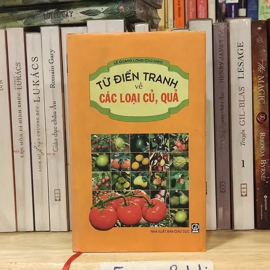 Từ điển tranh về các loại củ, quả (bìa cứng)
