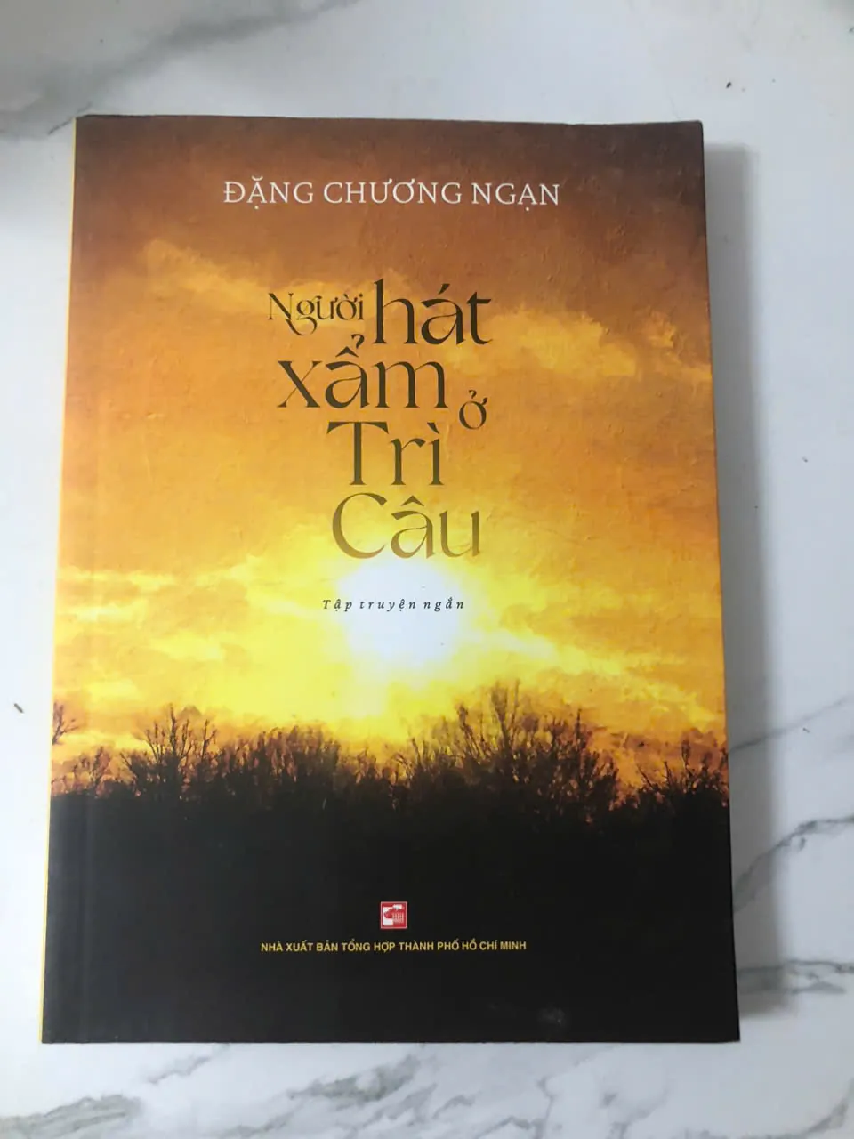 Người Hát Xẩm Ở Trì Câu - Đặng Chương Ngạn