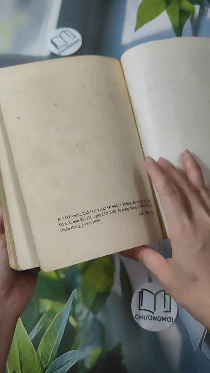 [XƯA] Những Khuôn Mặt Trẻ (1990) 997822