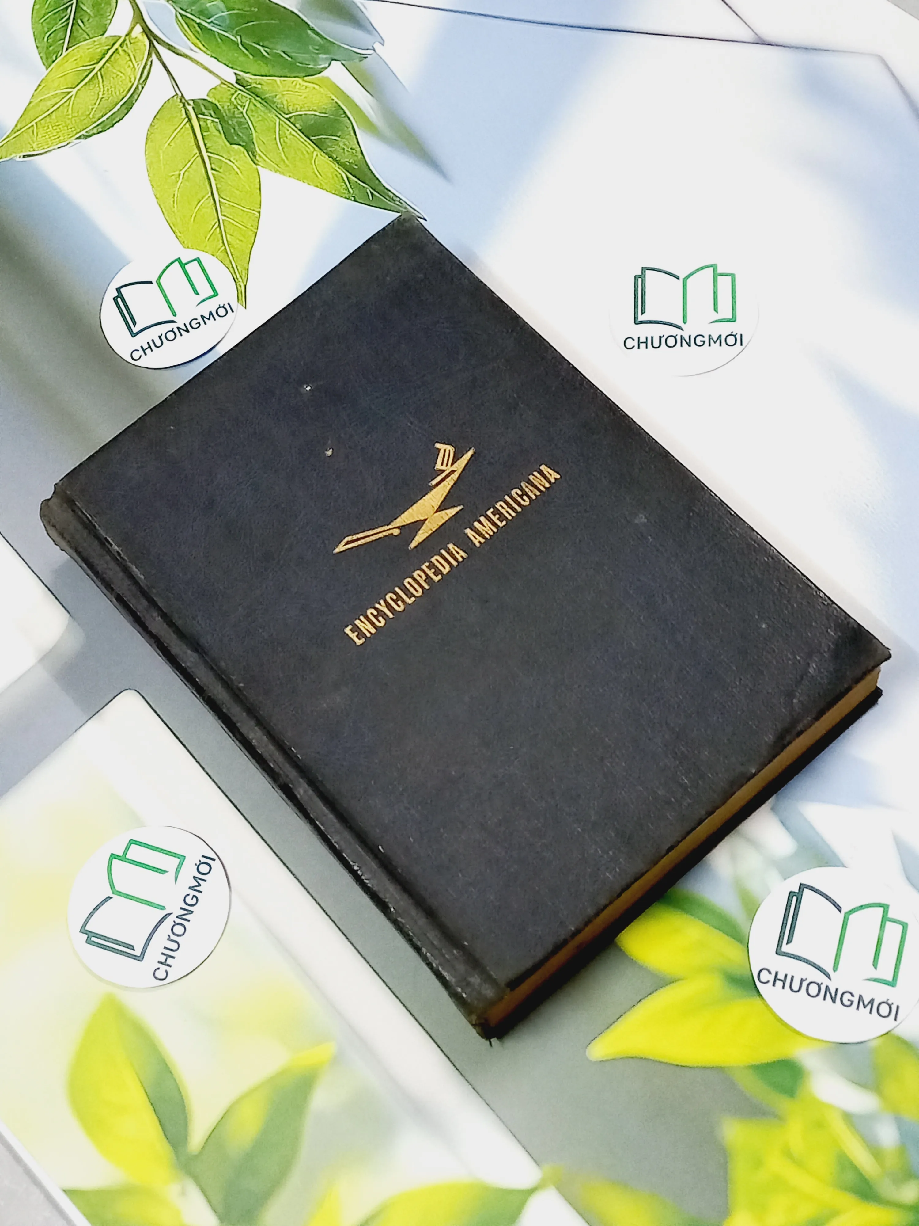 [MIỄN PHÍ BỌC SÁCH] Encyclopedia Americana 30 - Scholastic