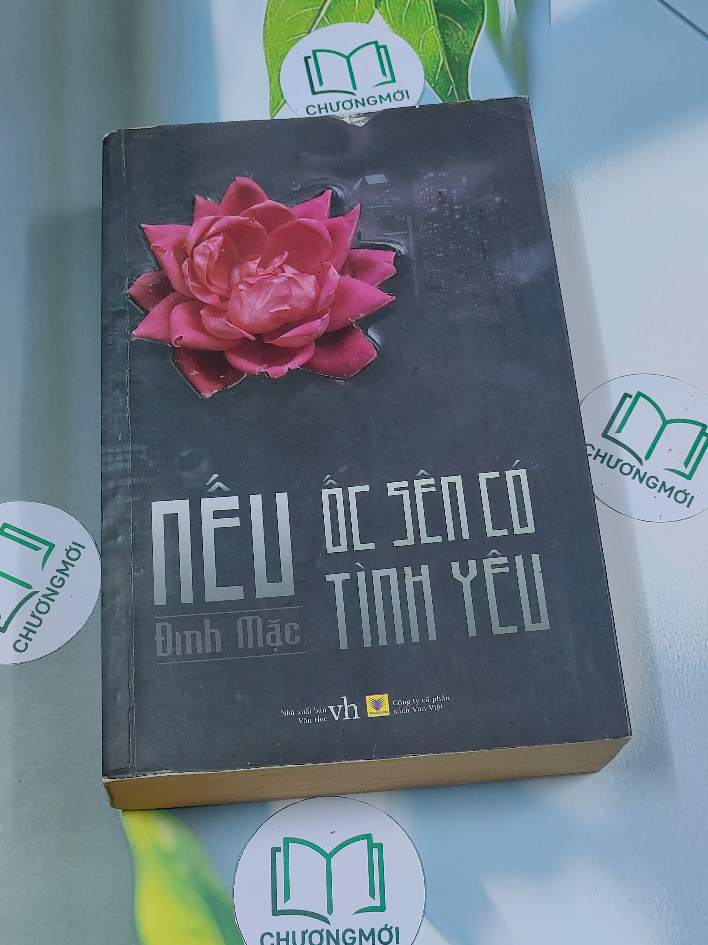 Nếu ốc sên có tình yêu - Đinh Mặc