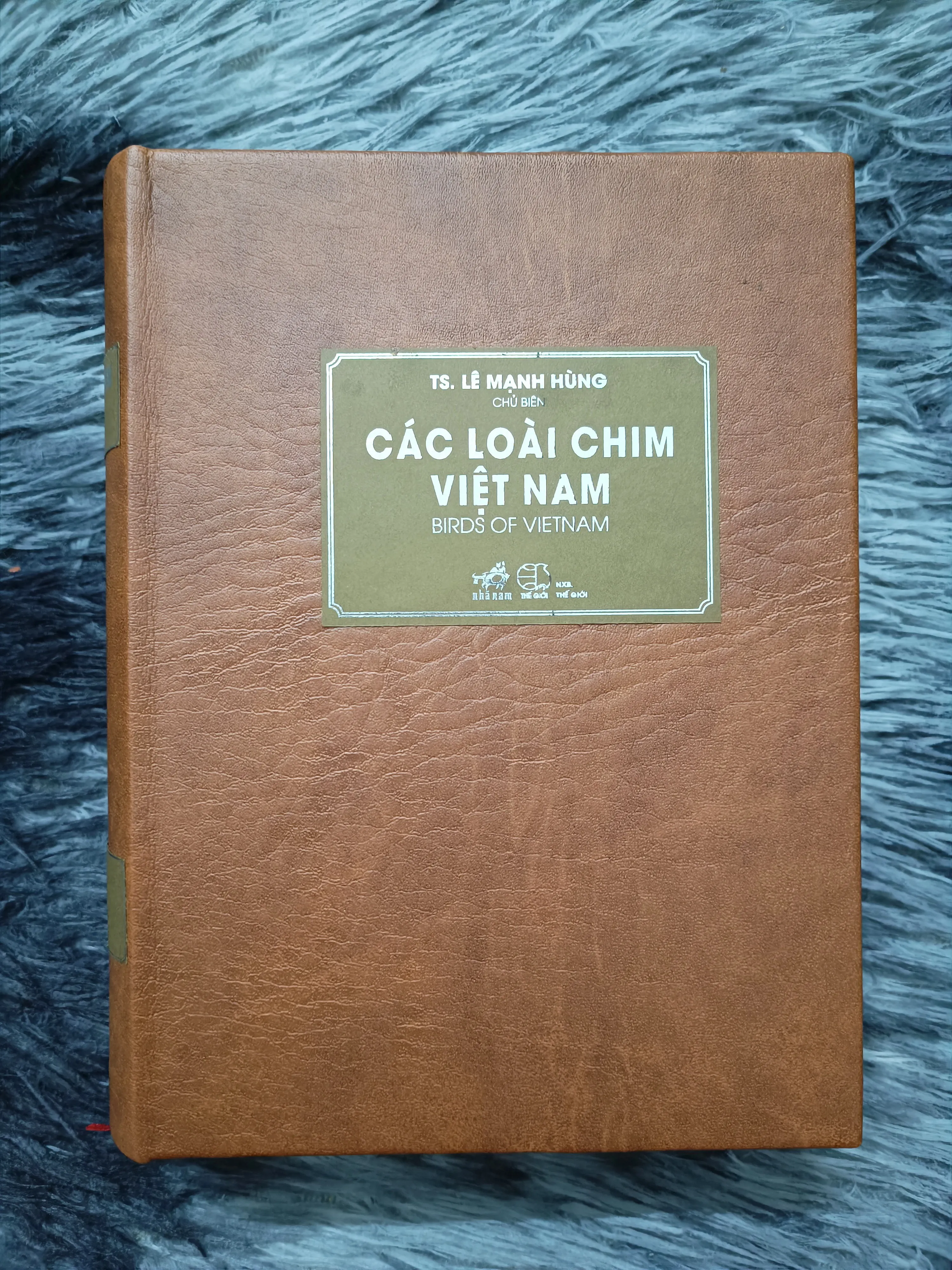Các loài chim Việt Nam (Lê Mạnh Hùng)