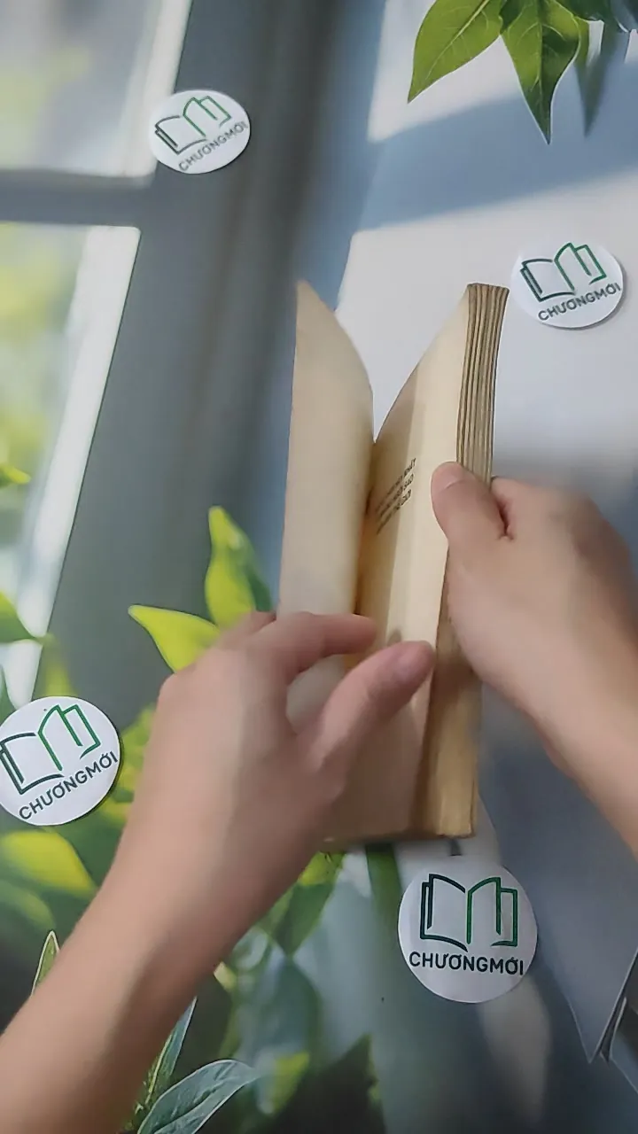 [XƯA] Những Khuôn Mặt Trẻ (1990) 997822