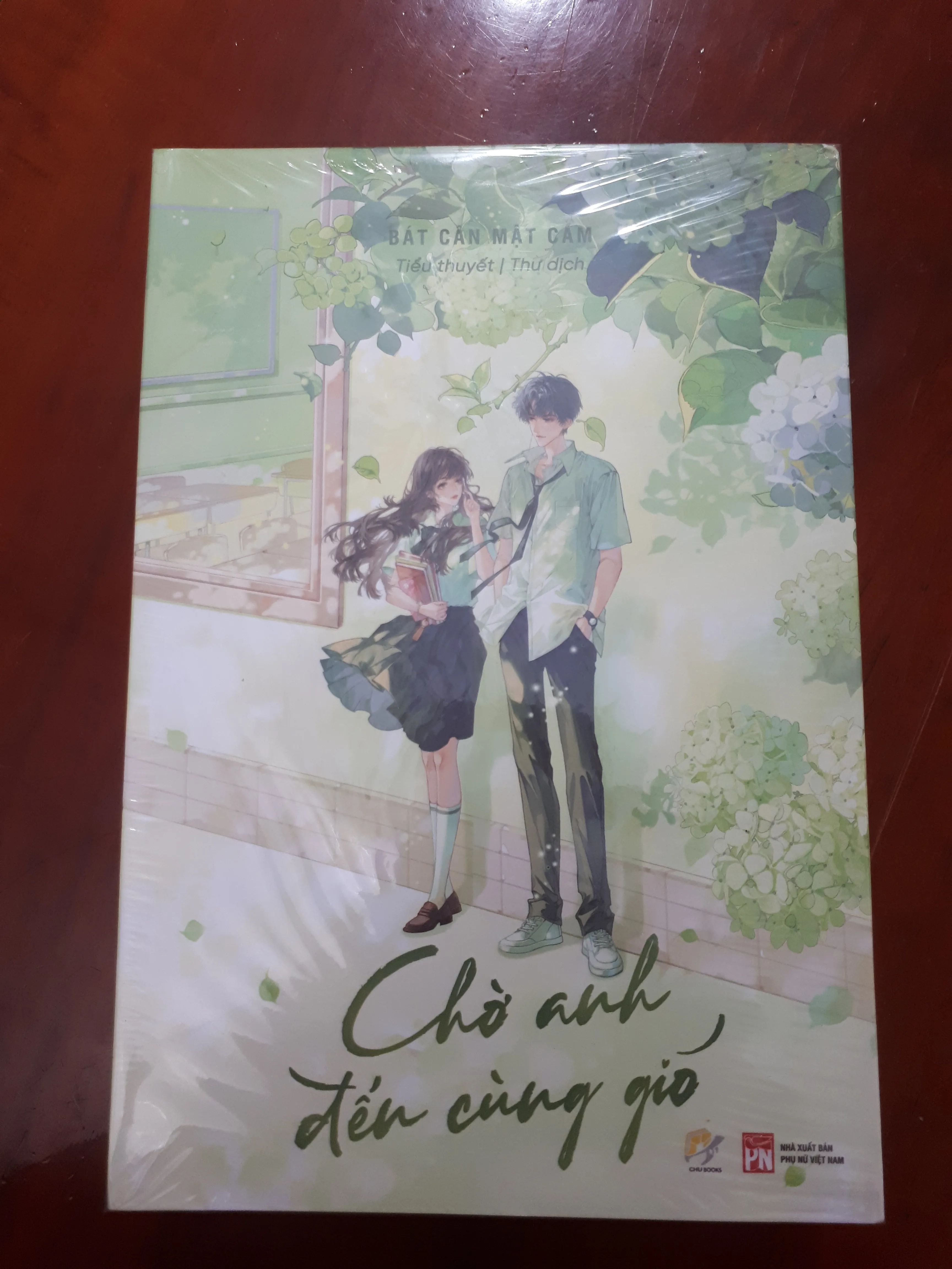 Chờ anh đến cùng gió - Bát Cân Mật Cam 