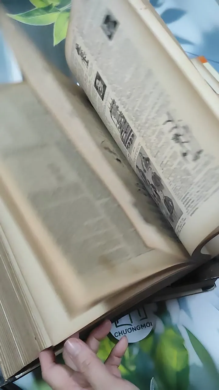 [MIỄN PHÍ BỌC SÁCH] Larousse Universel Vol 1 + 2 - Claude Augé 750844